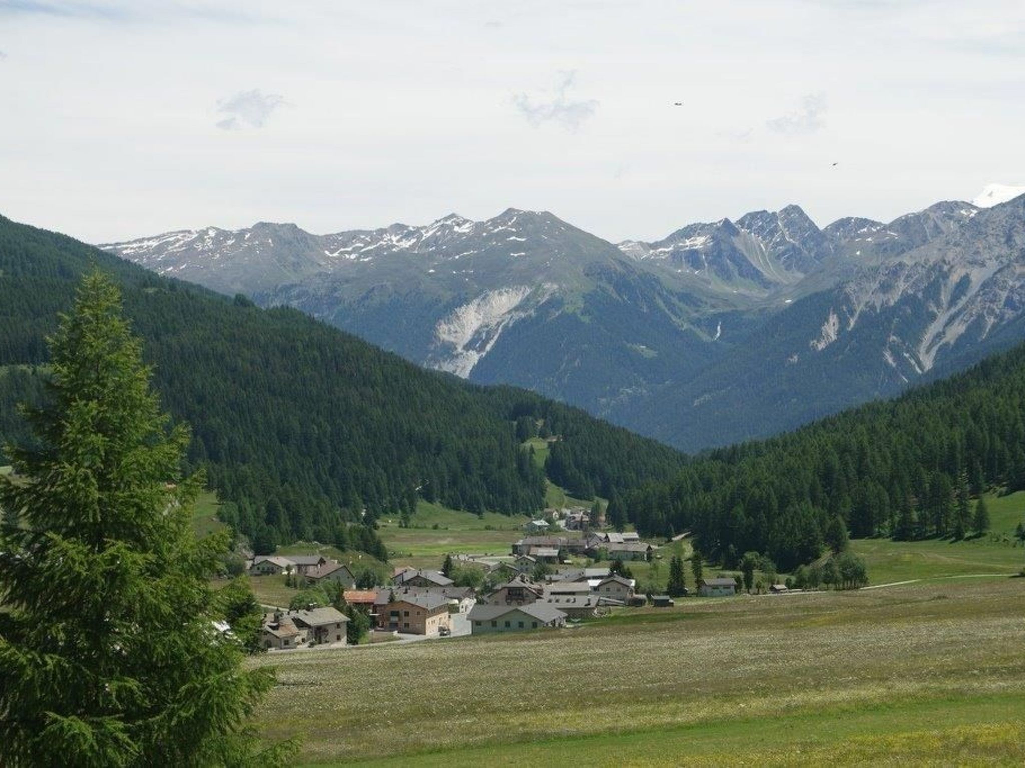 interhome-Chasa Müfaits Parterre, (Tschierv)