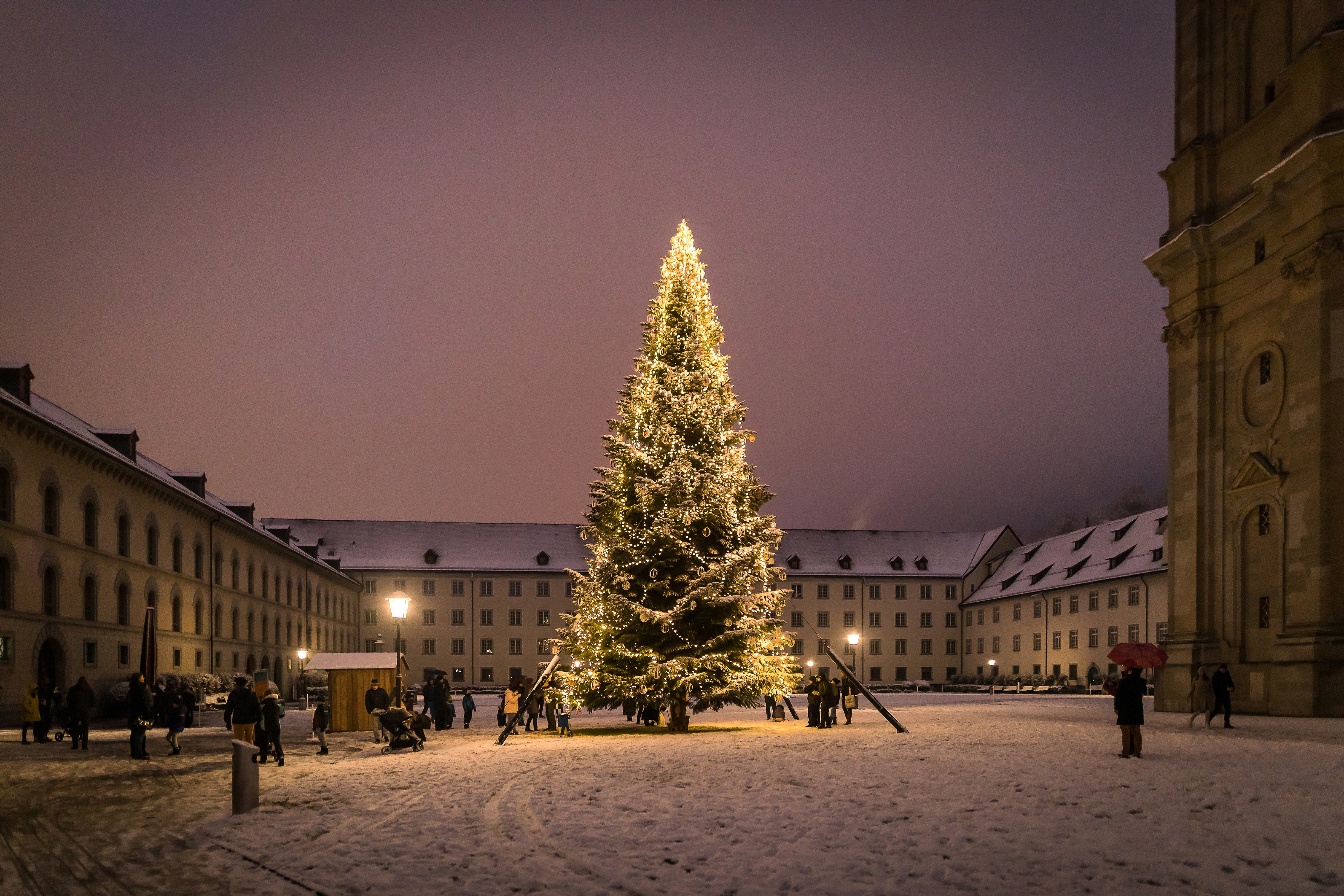 Beleuchteter Weihnachtsbaum auf dem verschneiten Klosterplatz in St. Gallen mit winterlicher Abendstimmung und festlichem Lichterglanz