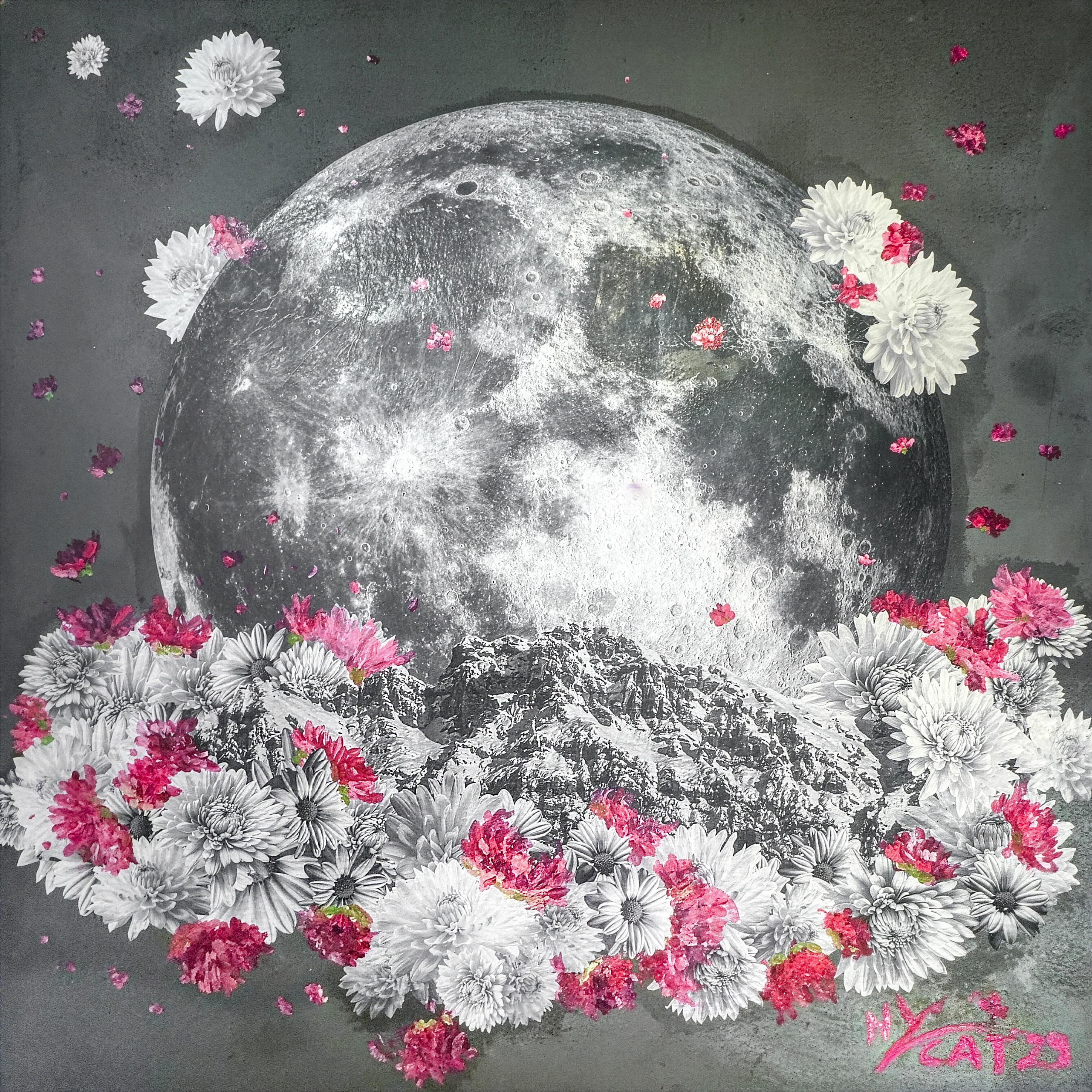 mys-Yuri in Wonderland - visite guidate-Moon Flower Generoso Mission