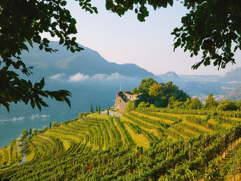Copyright Tenuta Castello di Morcote - Egle Berruti