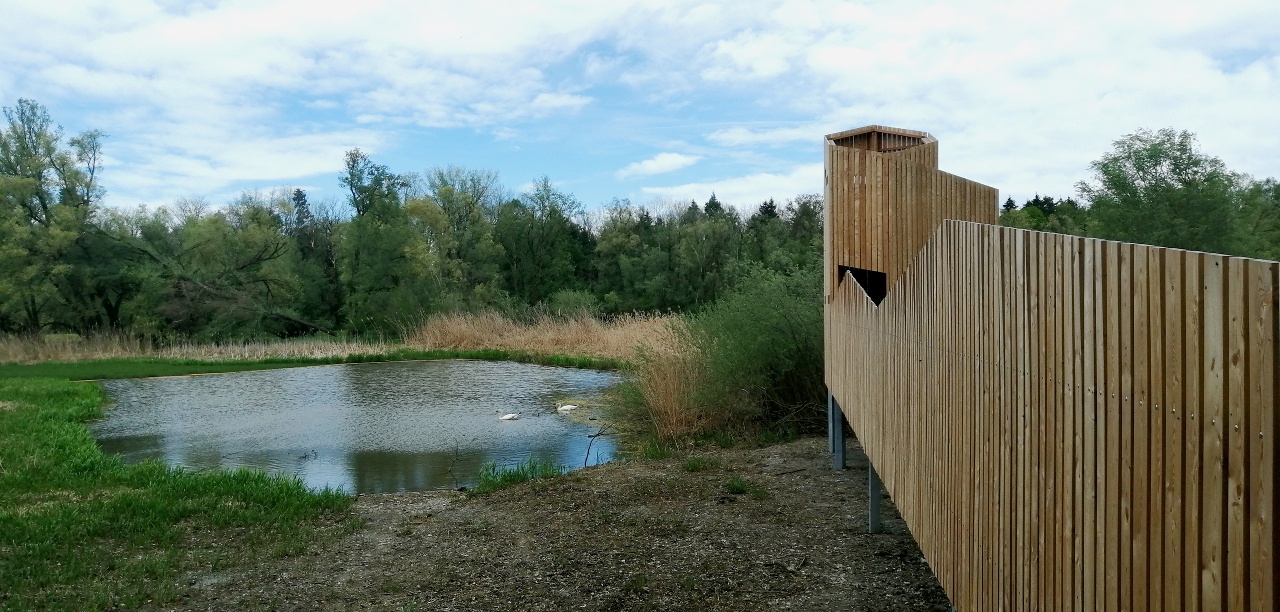 Naturbeobachtungsturm Weitsicht am Alten Rhein