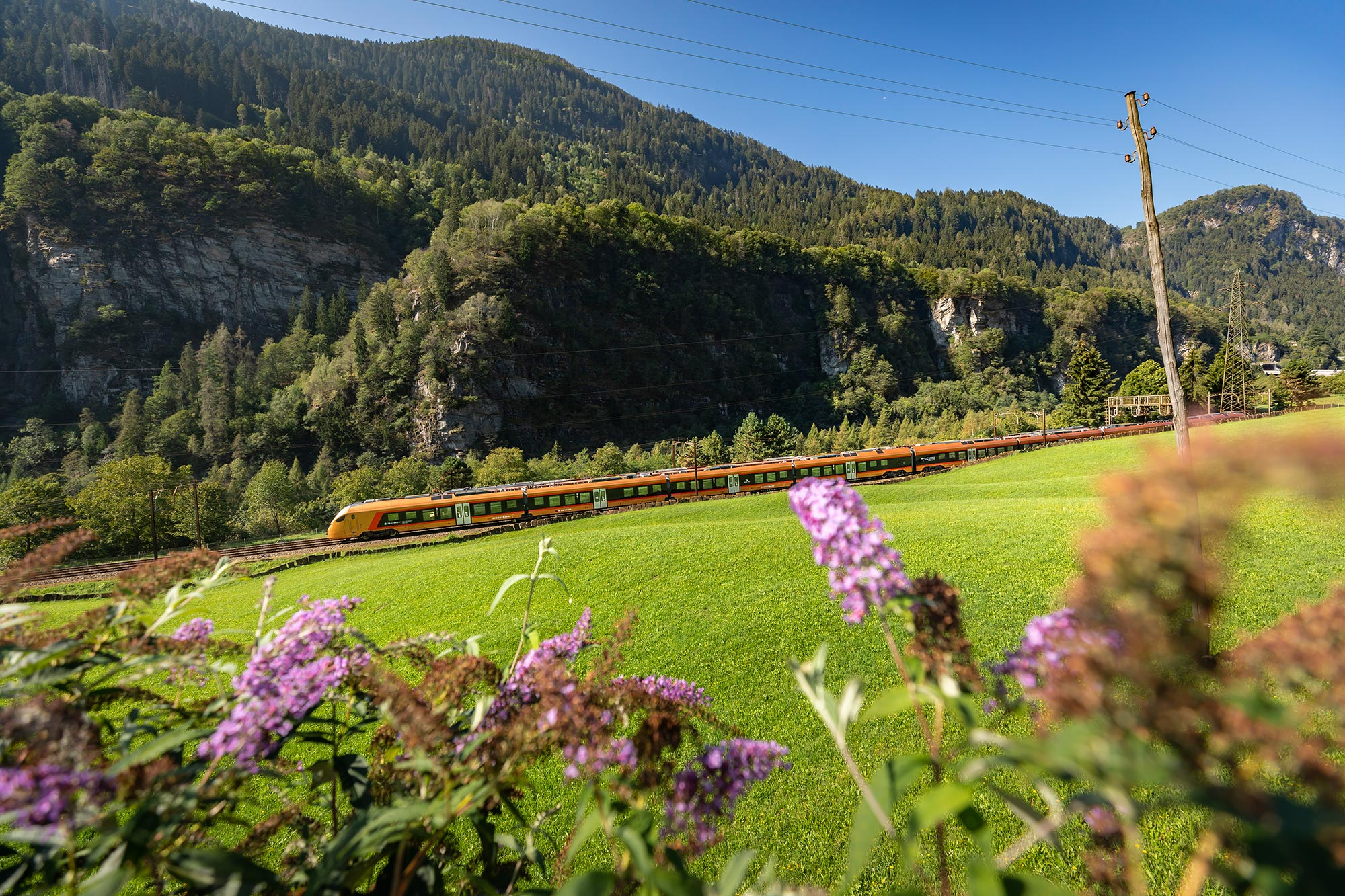 Treno Gottardo Faido
