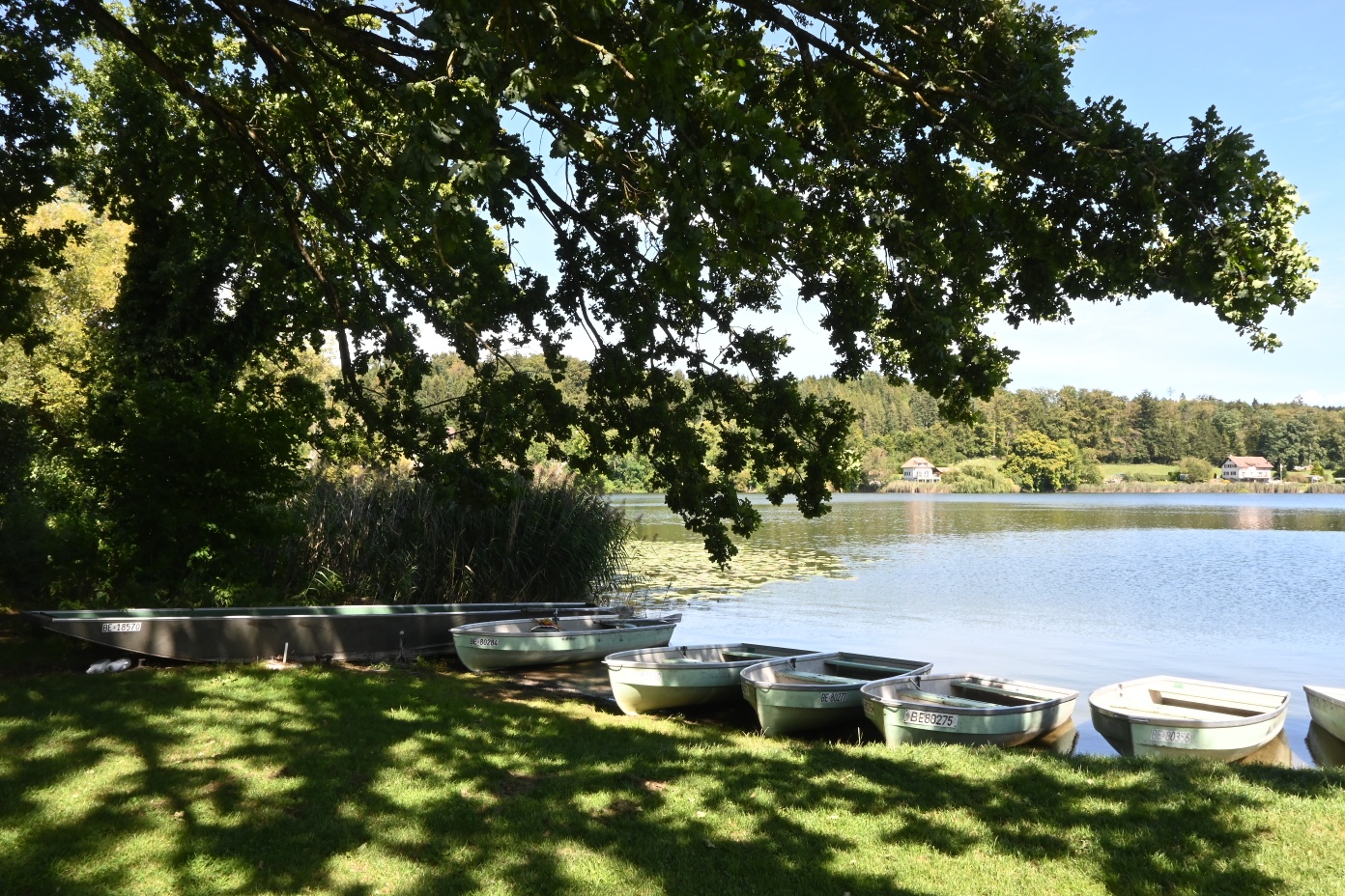 Bootsvermietung Moossee