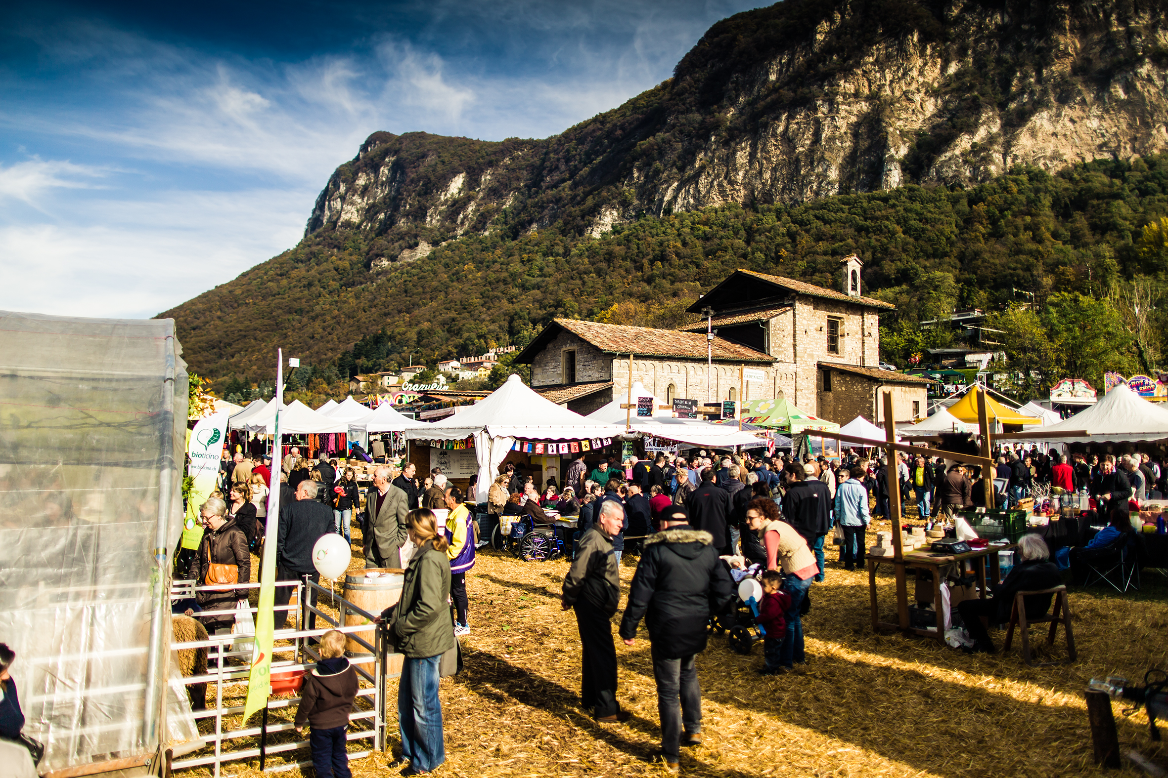 mys-Fiera di San Martino-Fiera di San Martino, Mendrisio