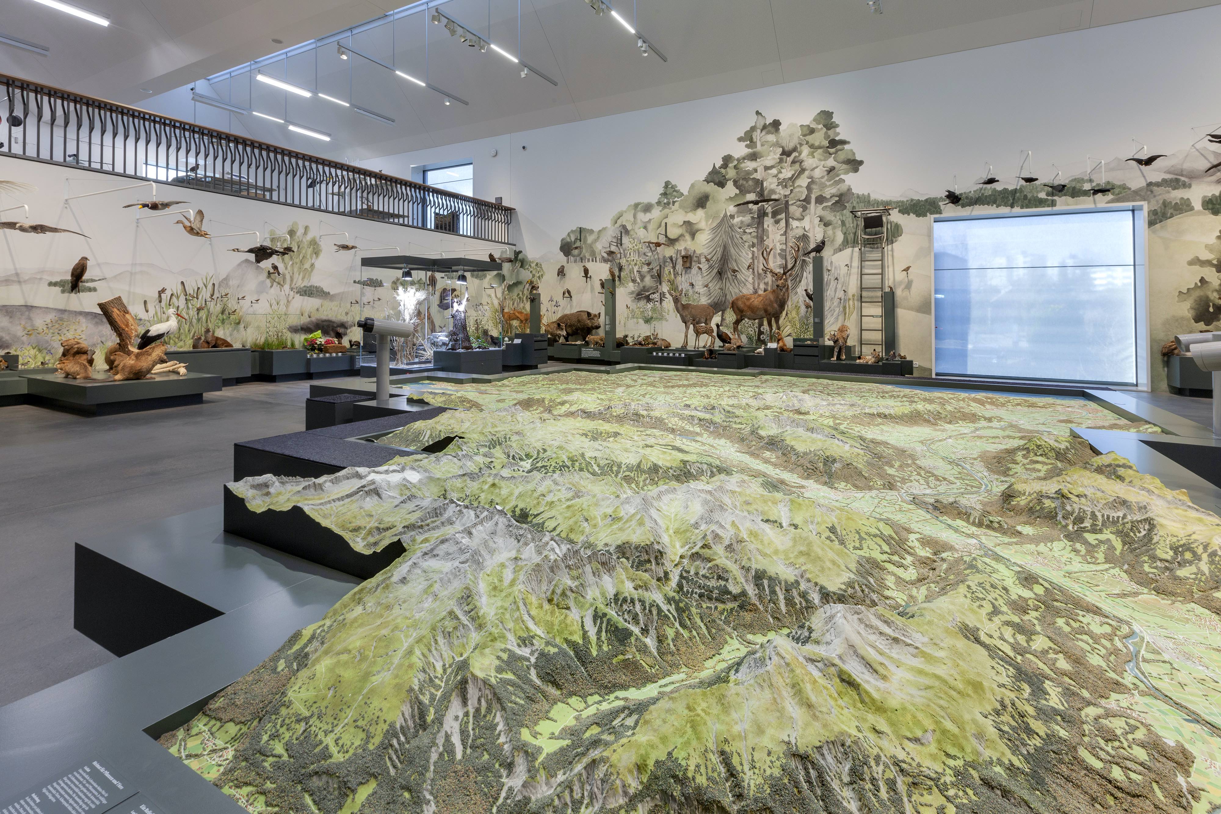 Naturmuseum St. Gallen_Reliefraum
