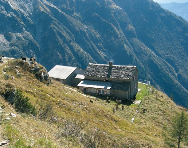 Capanna Adula