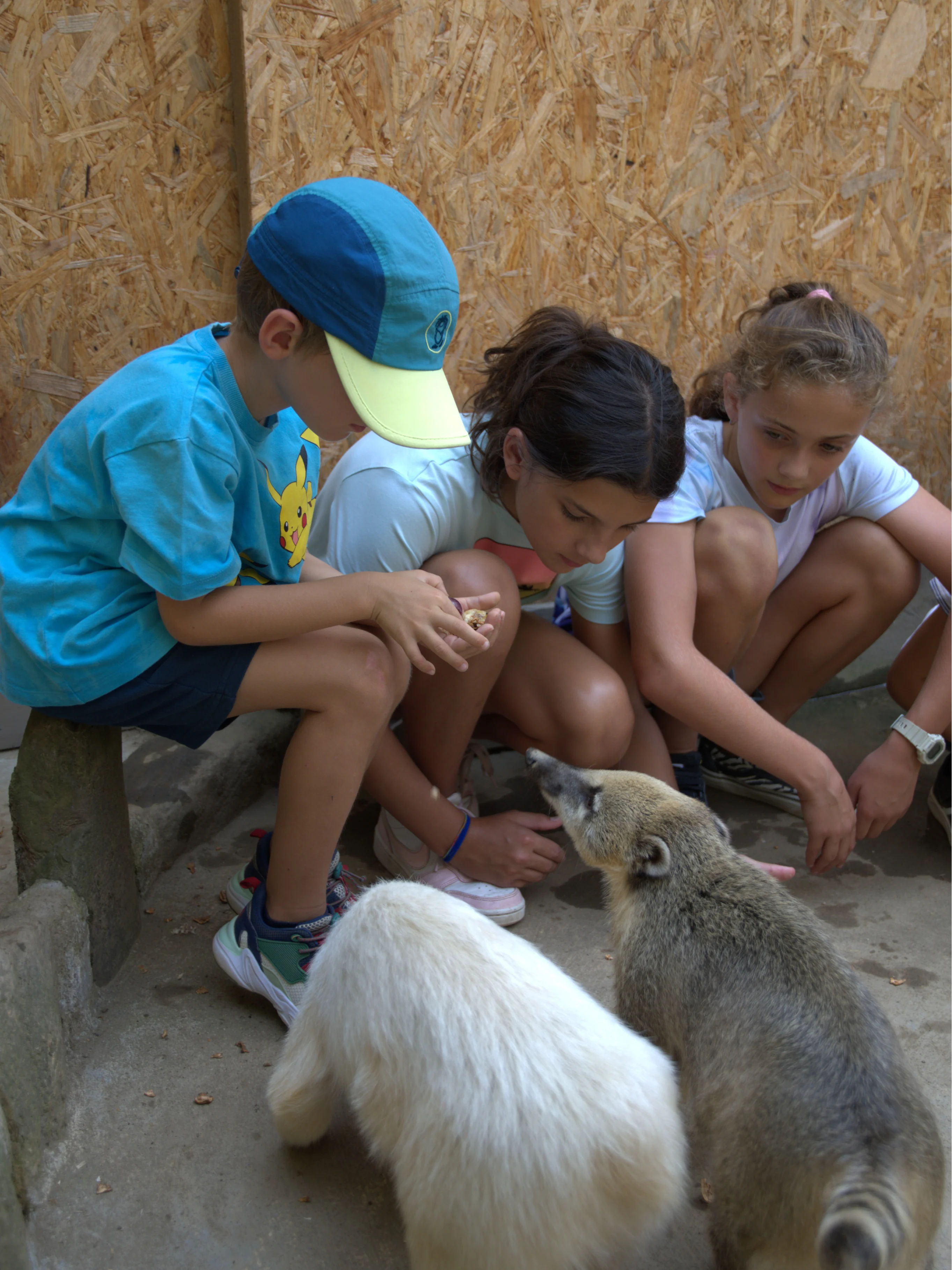 mys-Zoo al Maglio, l’unico zoo del Ticino - Esperienza con gli animali-Erlebnis mit Nasenbären