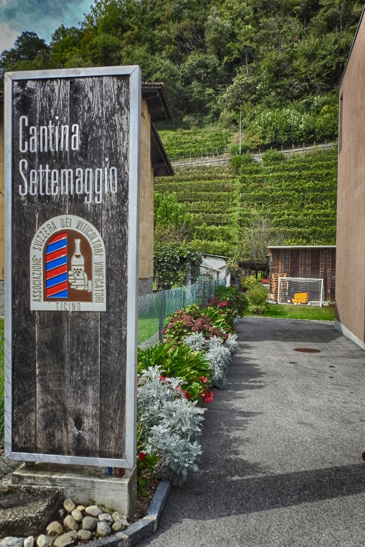 Cantina Settemaggio