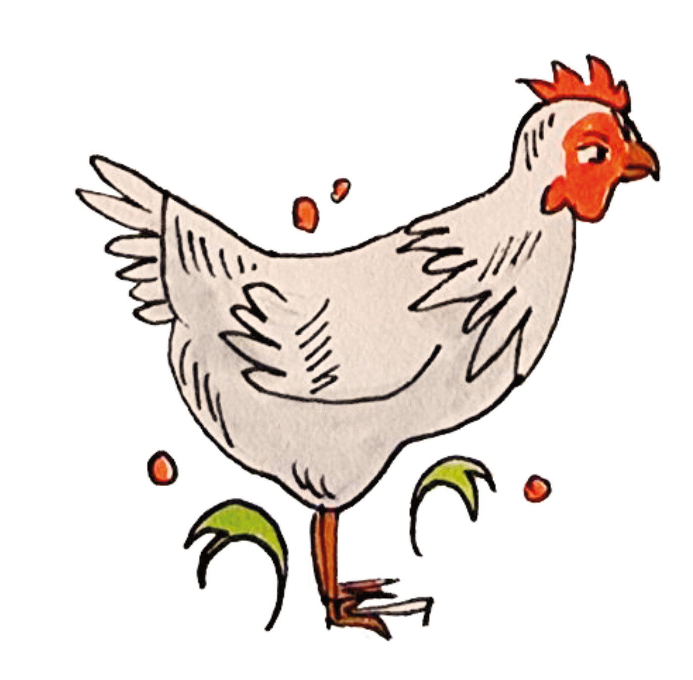 Gallina