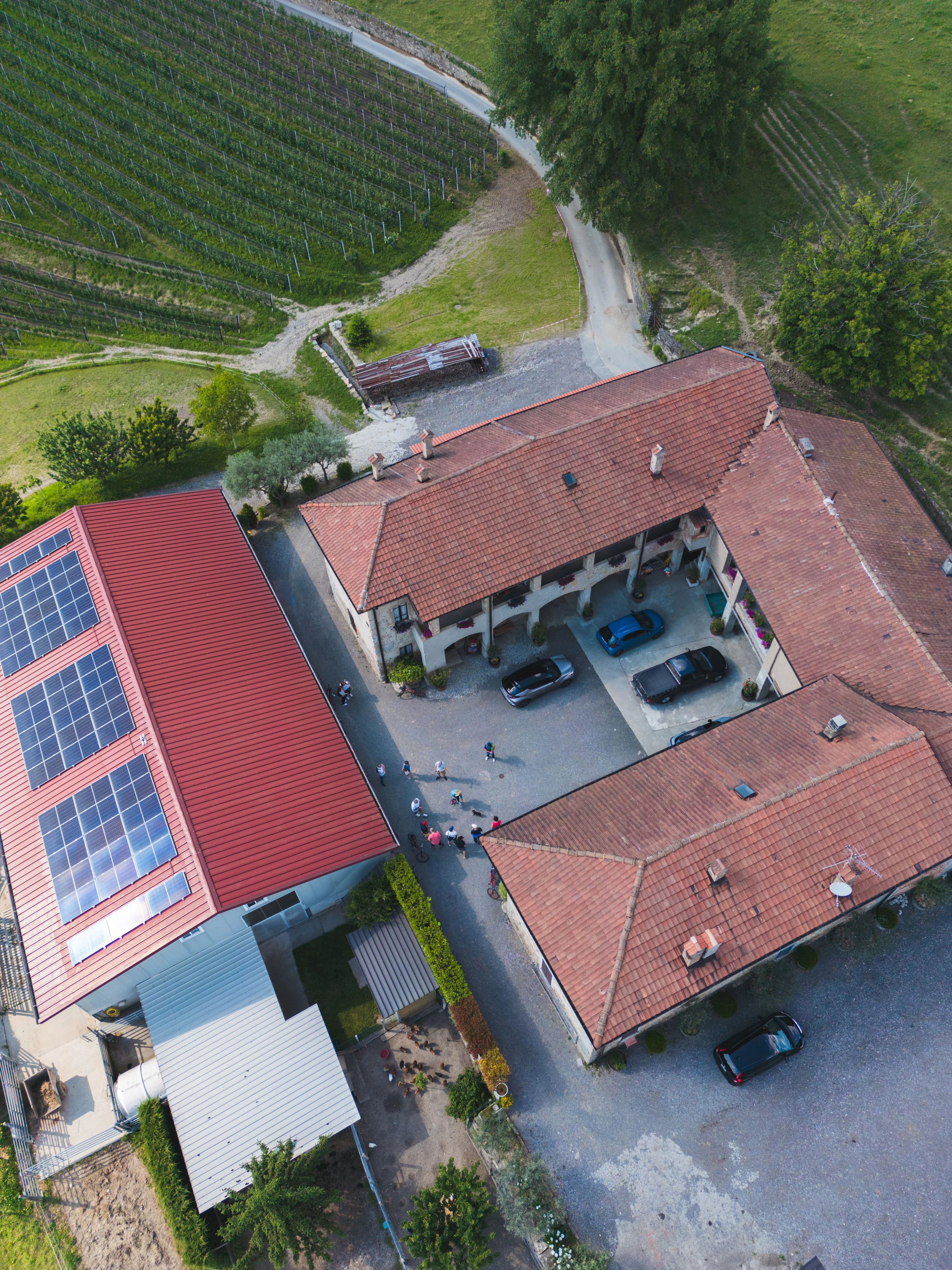 mys-Bike'n'Wine Mendrisiotto-Bike'n'Wine