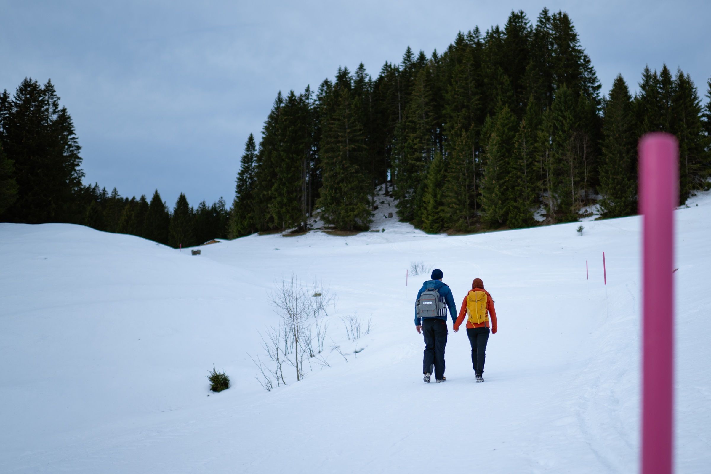 mys-Raclette tour on the Flumserberg-import_9e62f042-18e8-4caf-824a-5bd247a8f6d8.jpg