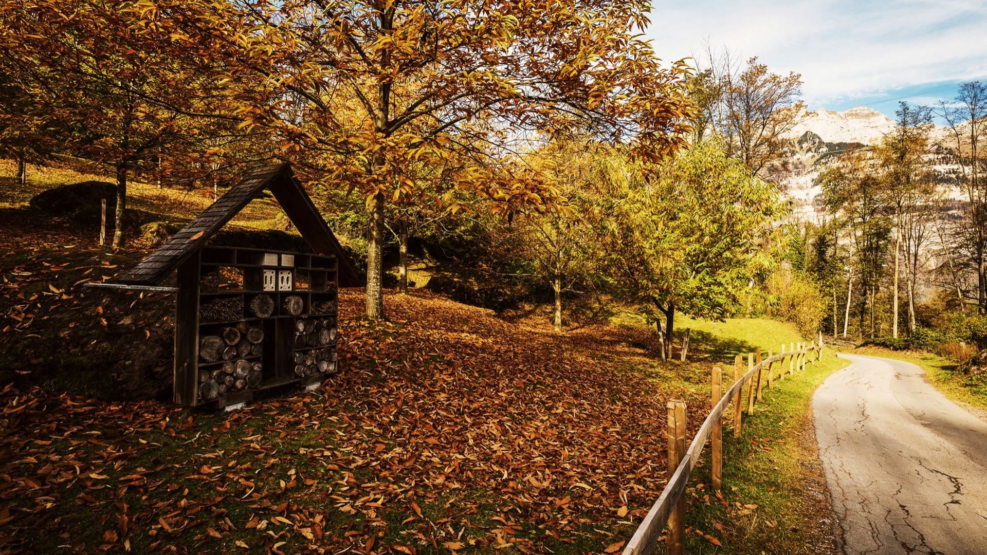 Kastanienwald in Murg / S4