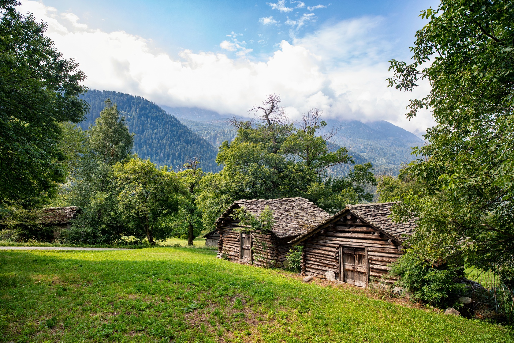 Kastanienwald mit Dörrhütten