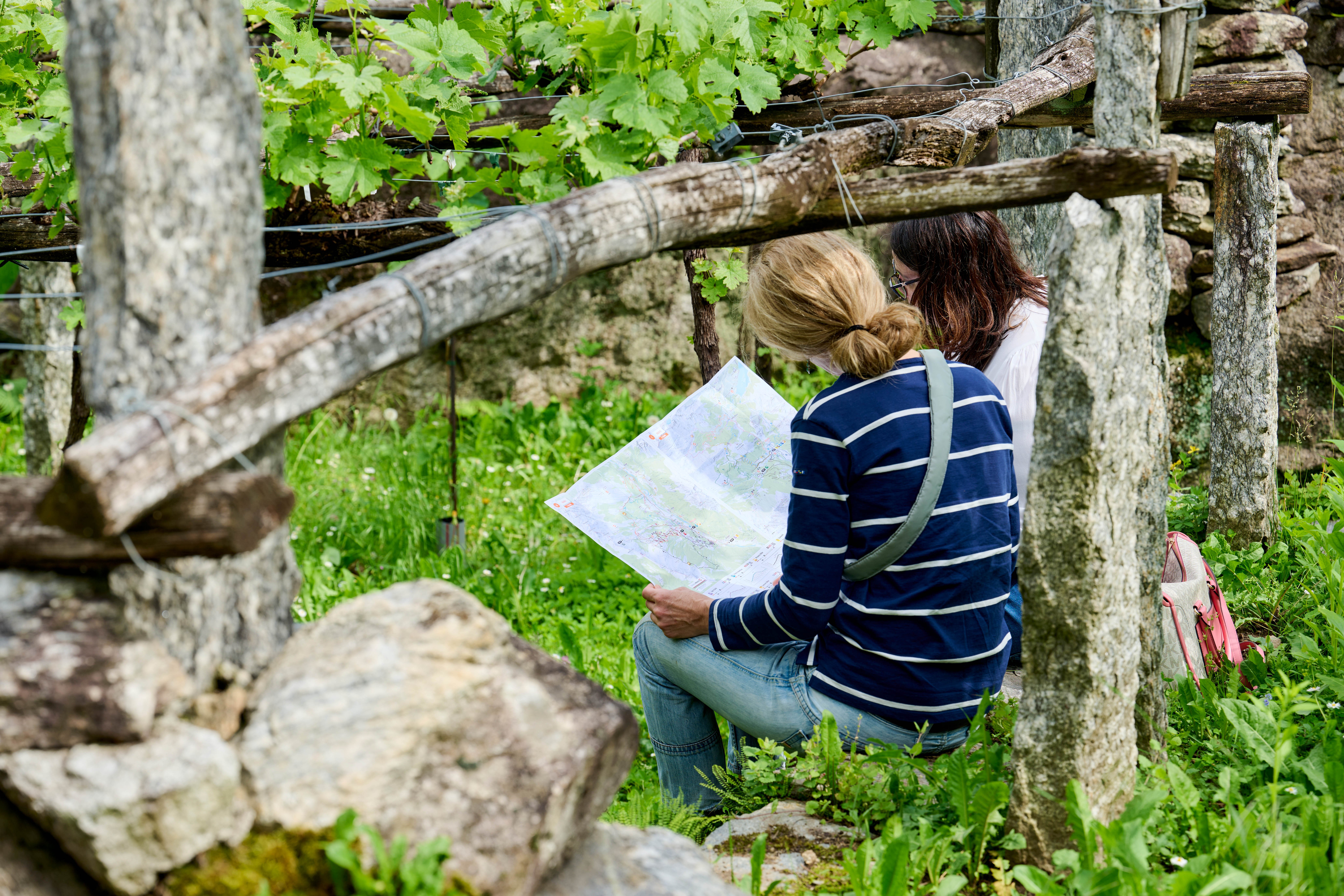 mys-La Valle del sole: un viaggio tra cultura e prodotti genuini della Valle di Blenio-Agriesperienza Azienda Croce