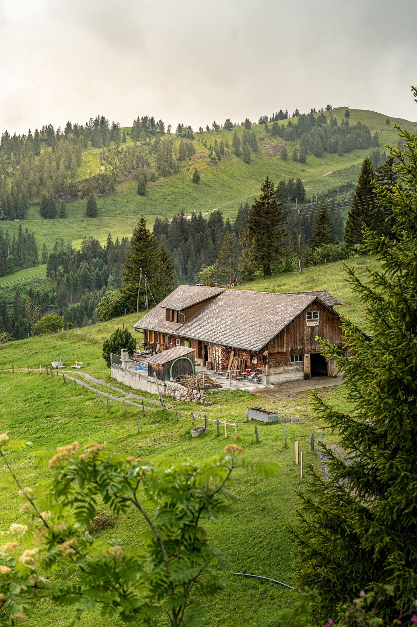 Trieb Alpine dairy