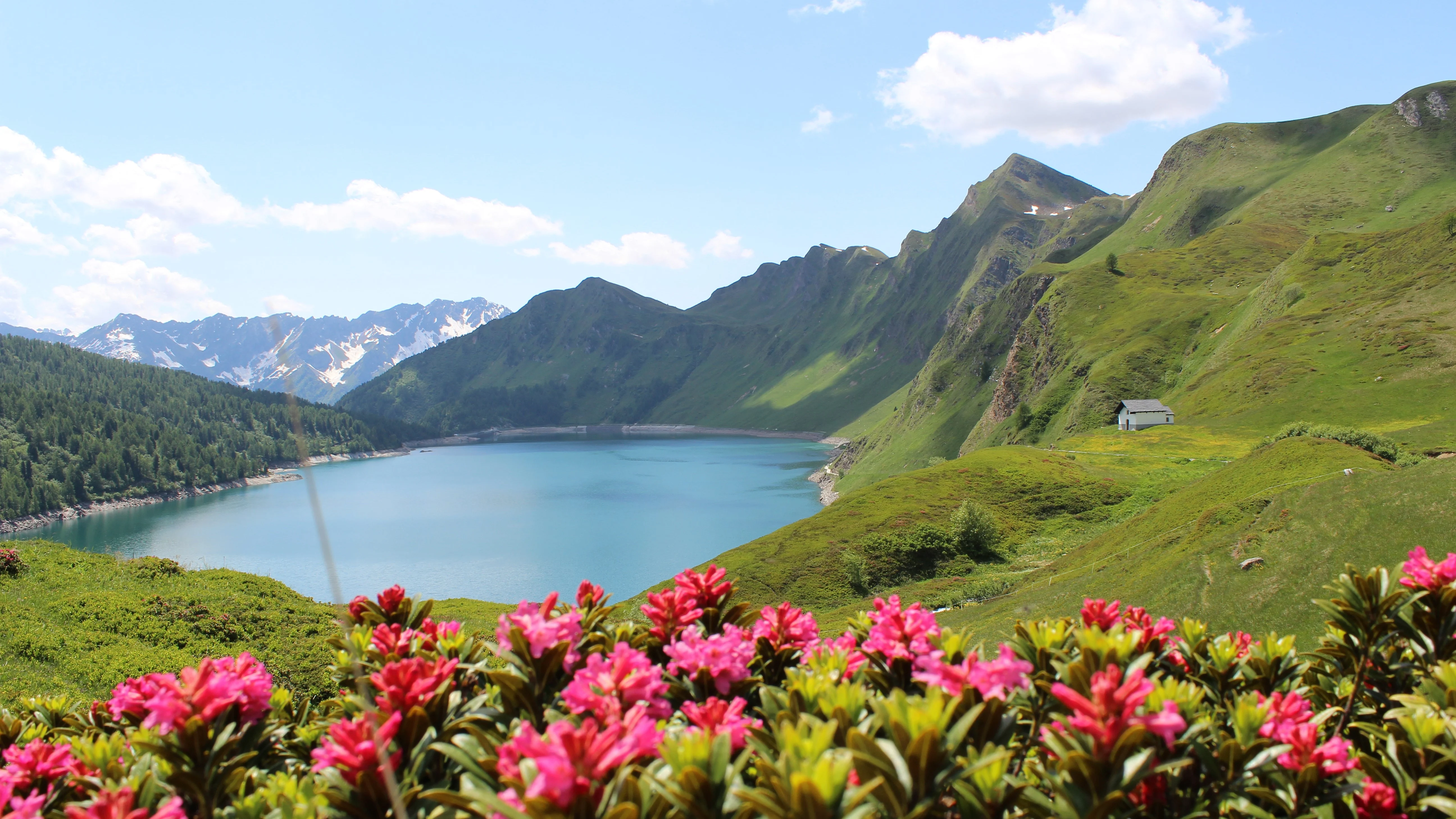 mys-Funicolare Ritom - Piora-Funicolare Ritom / Ritom-Standseilbahn - 111 (2).jpg