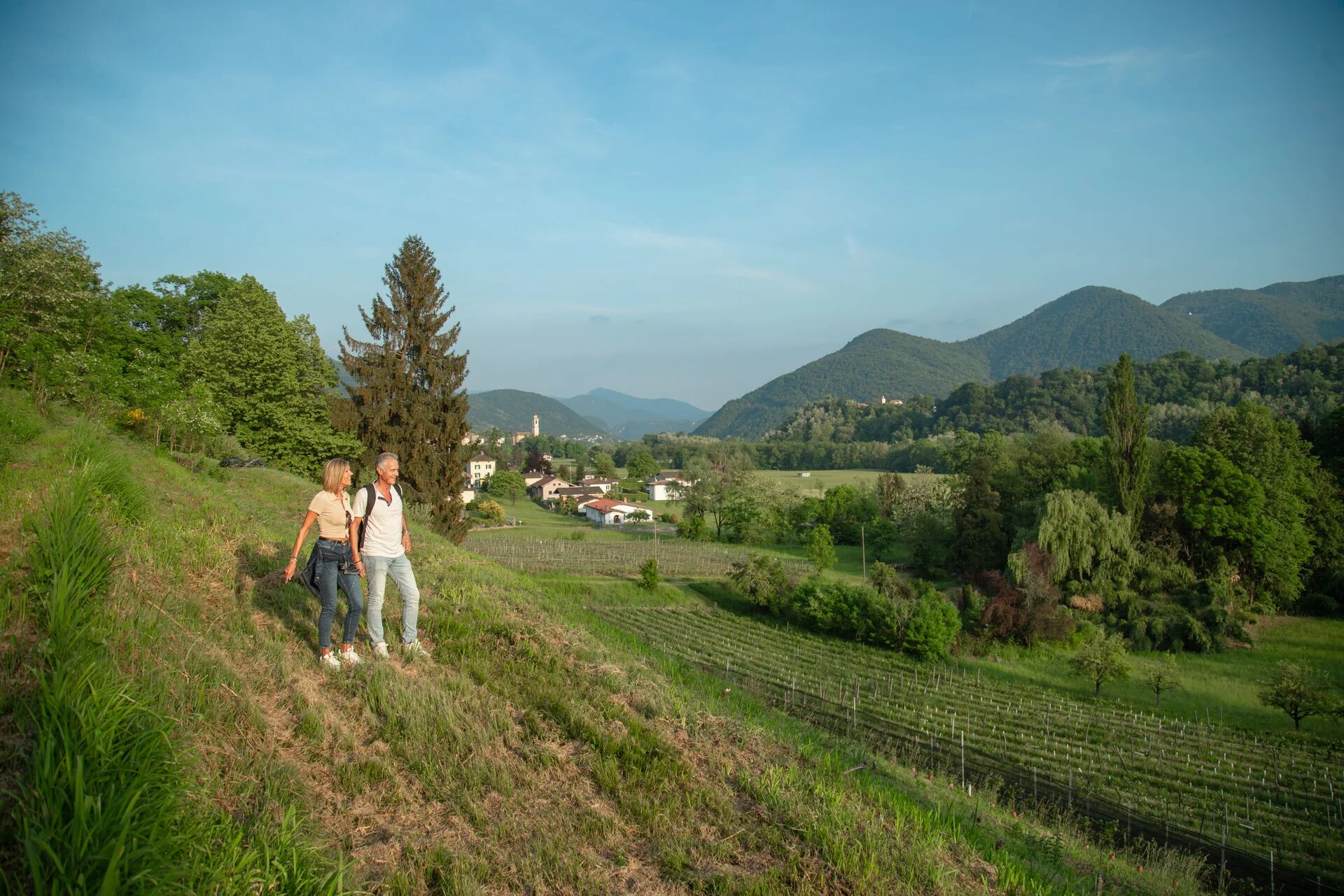 mys-In navetta tra le cantine del Malcantone-Navette Cantine Aperte Malcantone