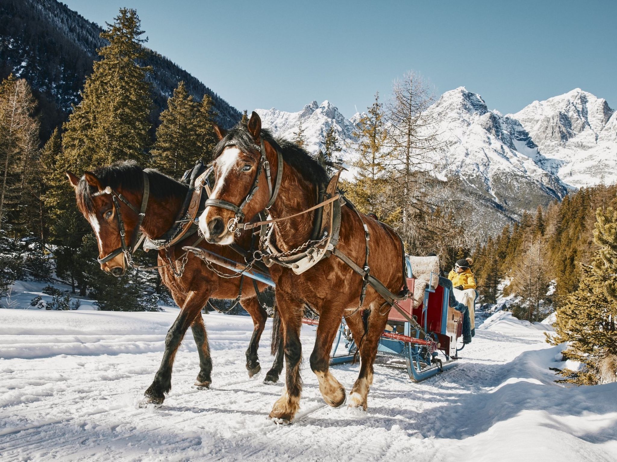 interhome-Hütte Ova Spin il Cuvel, (Zernez)