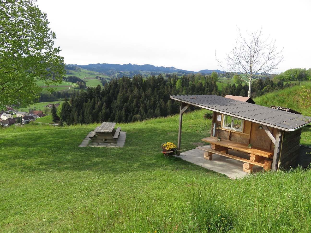 Hickern - Hergiswil