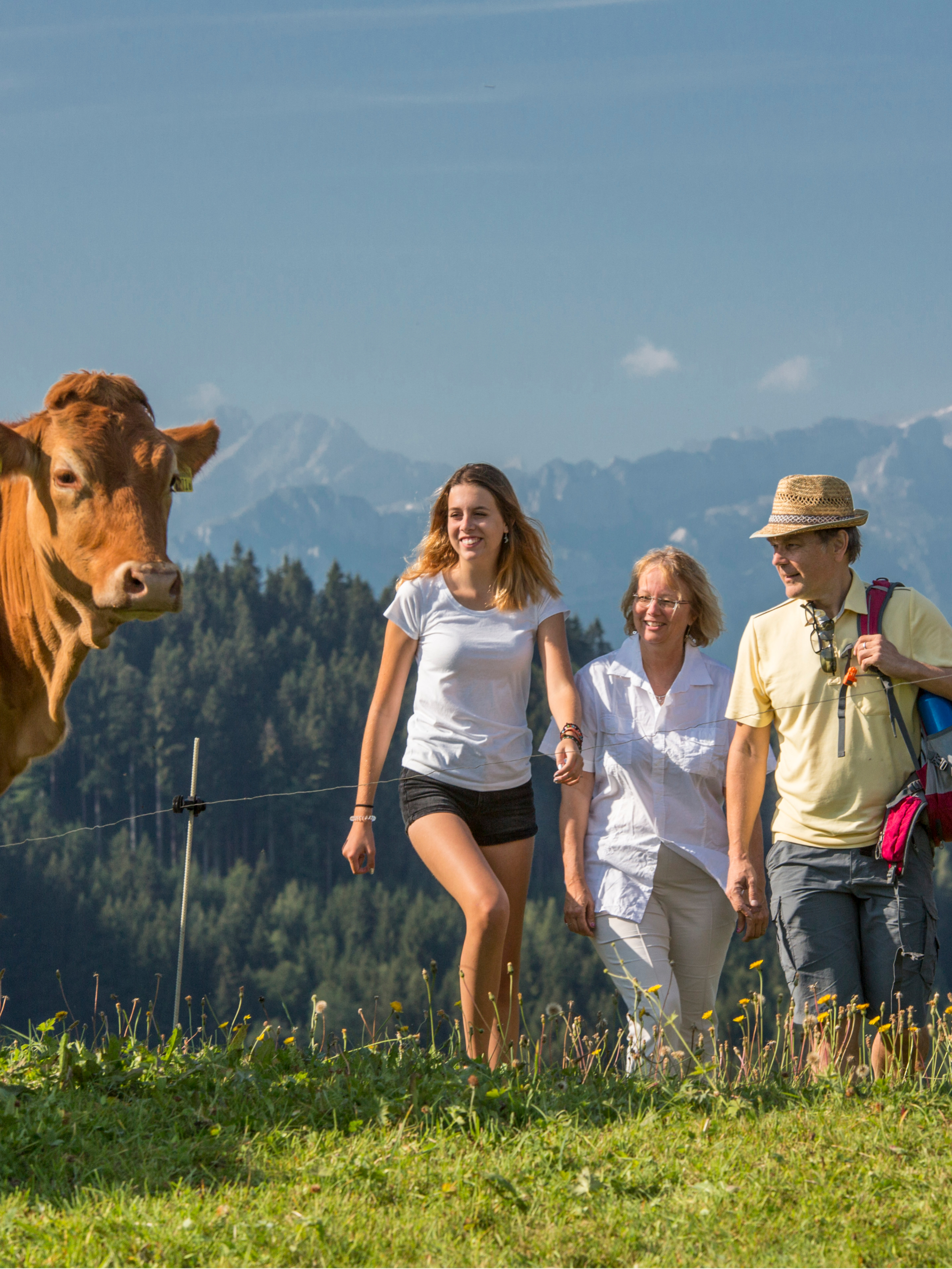 Auf dem Alpenpanoramaweg