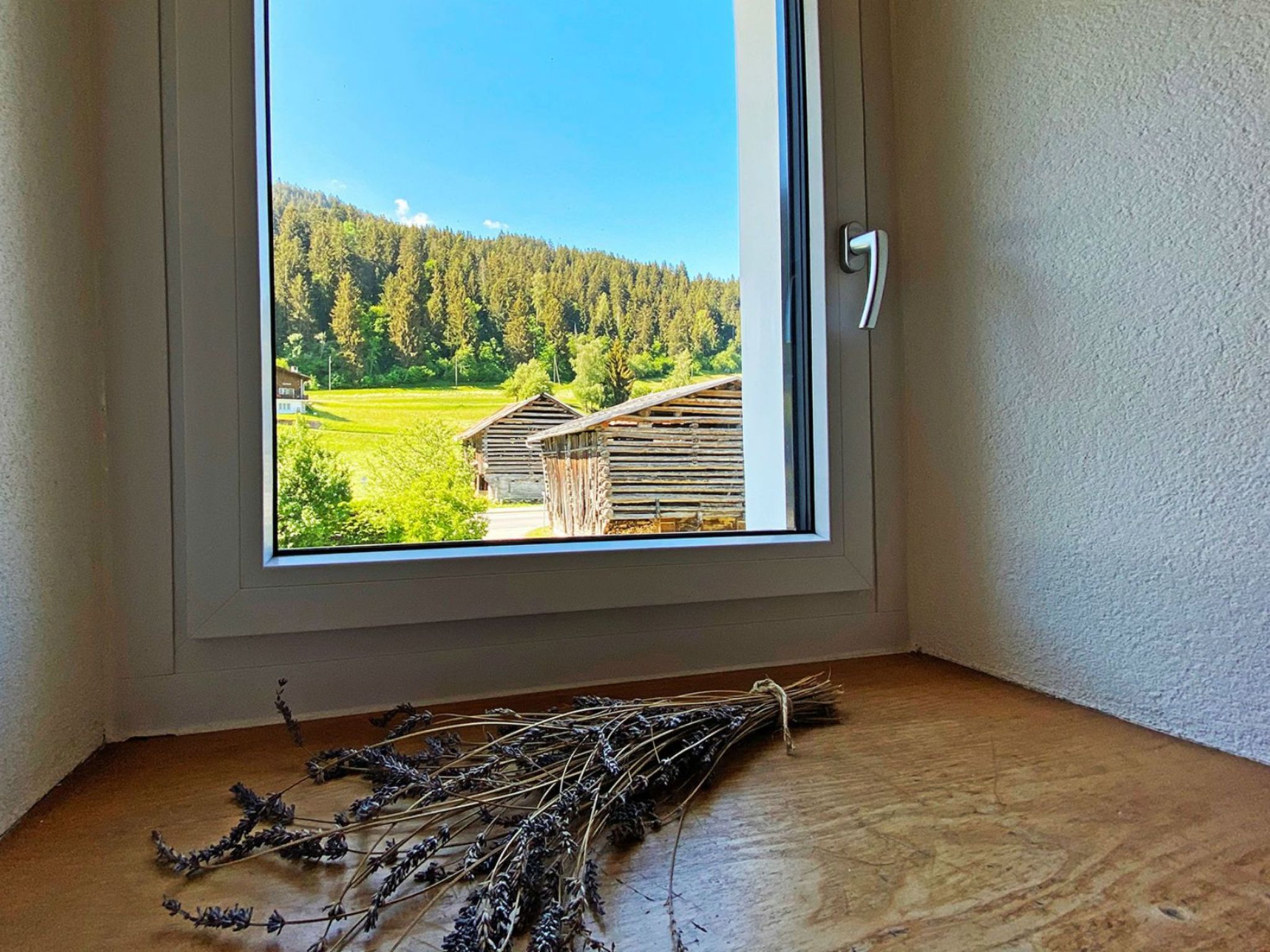 interhome-Casa Radieni, Flond, (Flond), 37000B