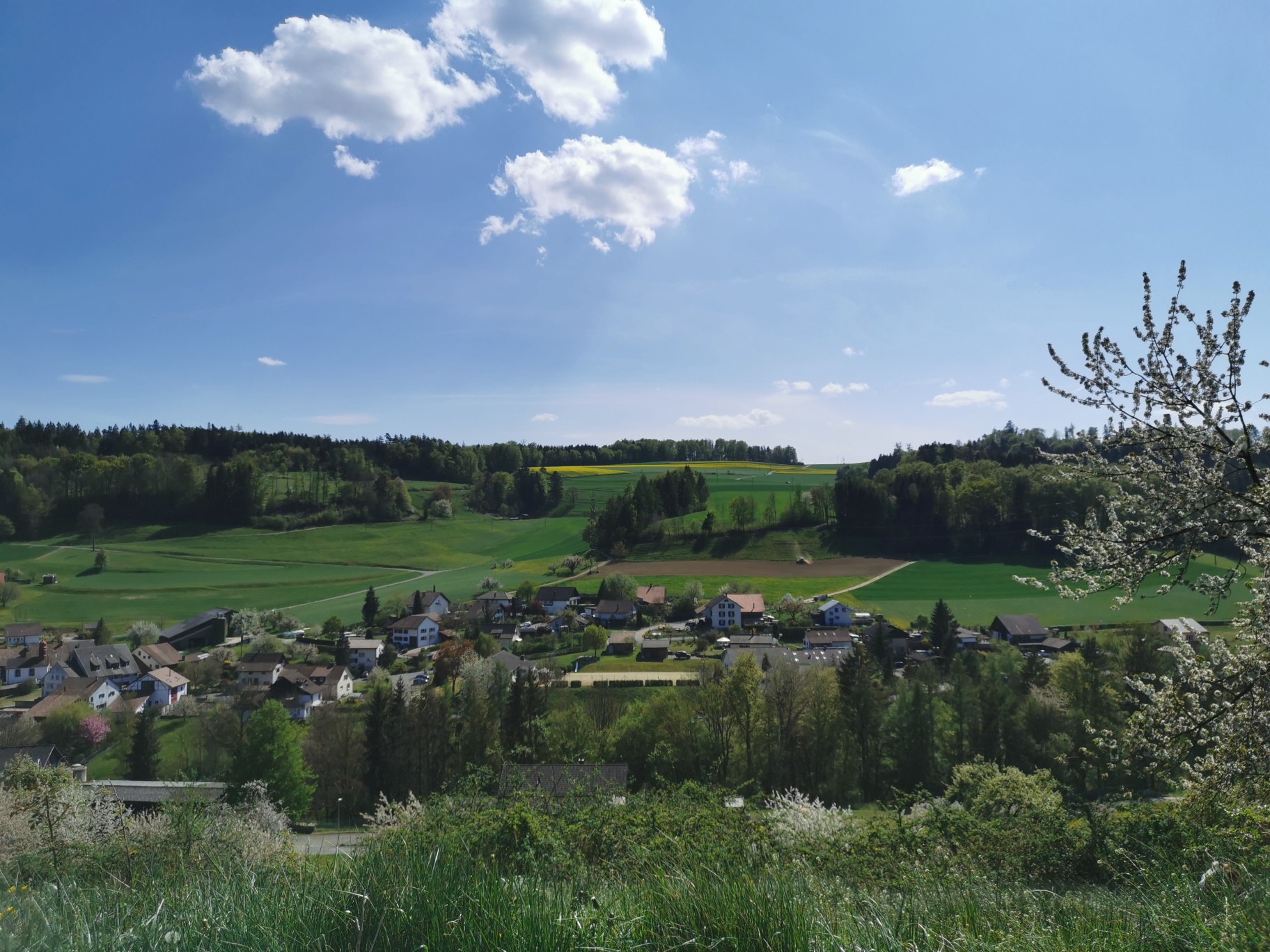 Böbikon "Güggenhühalde