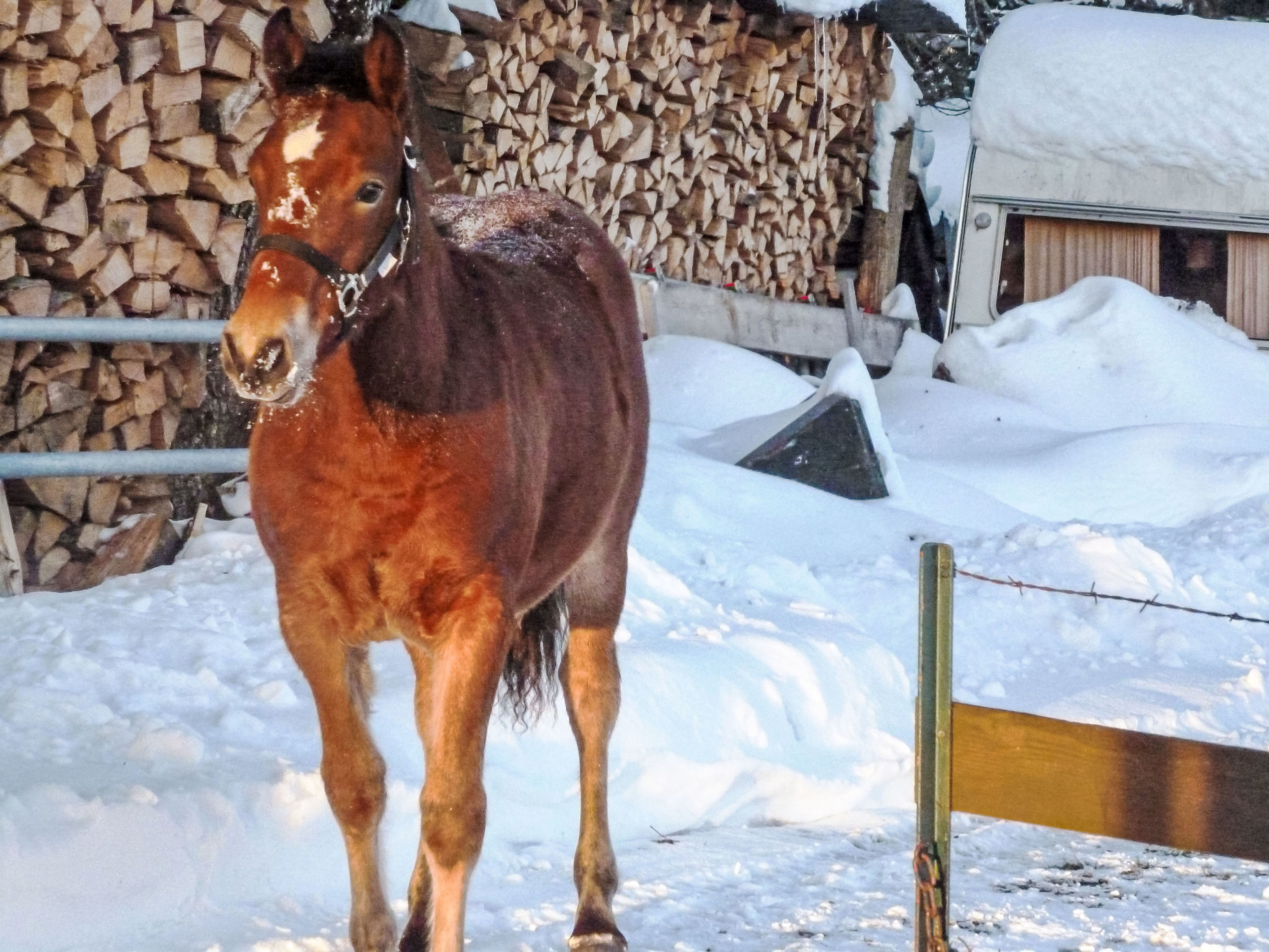 interhome-Chalet Mon Désir Lajoux