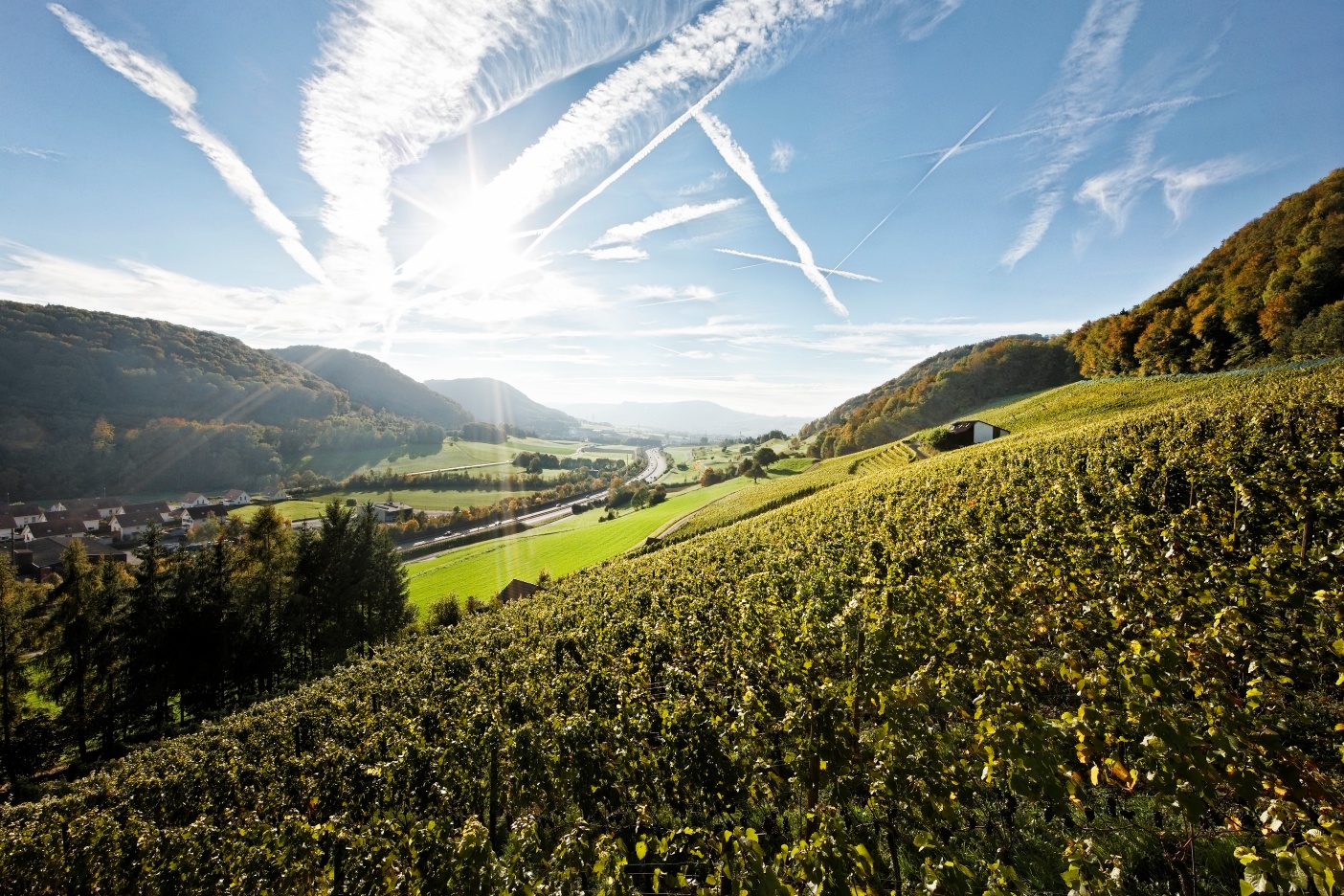 Hornussen: Weingut Fürst