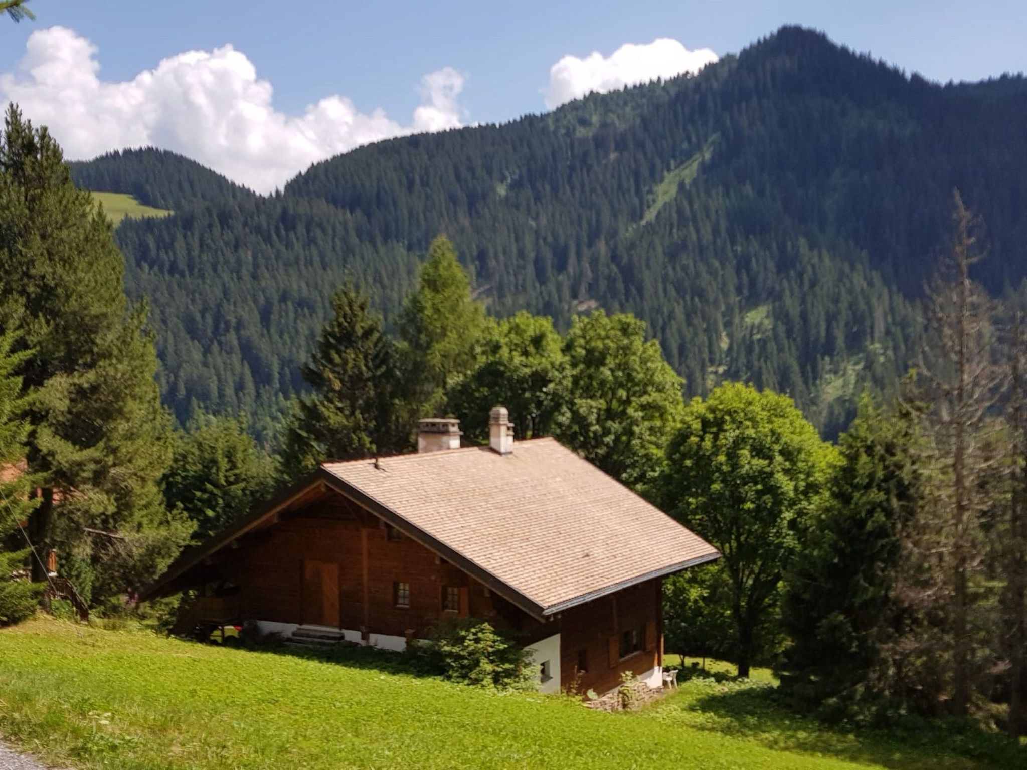 interhome-Chalet Carmazin, (Morgins),