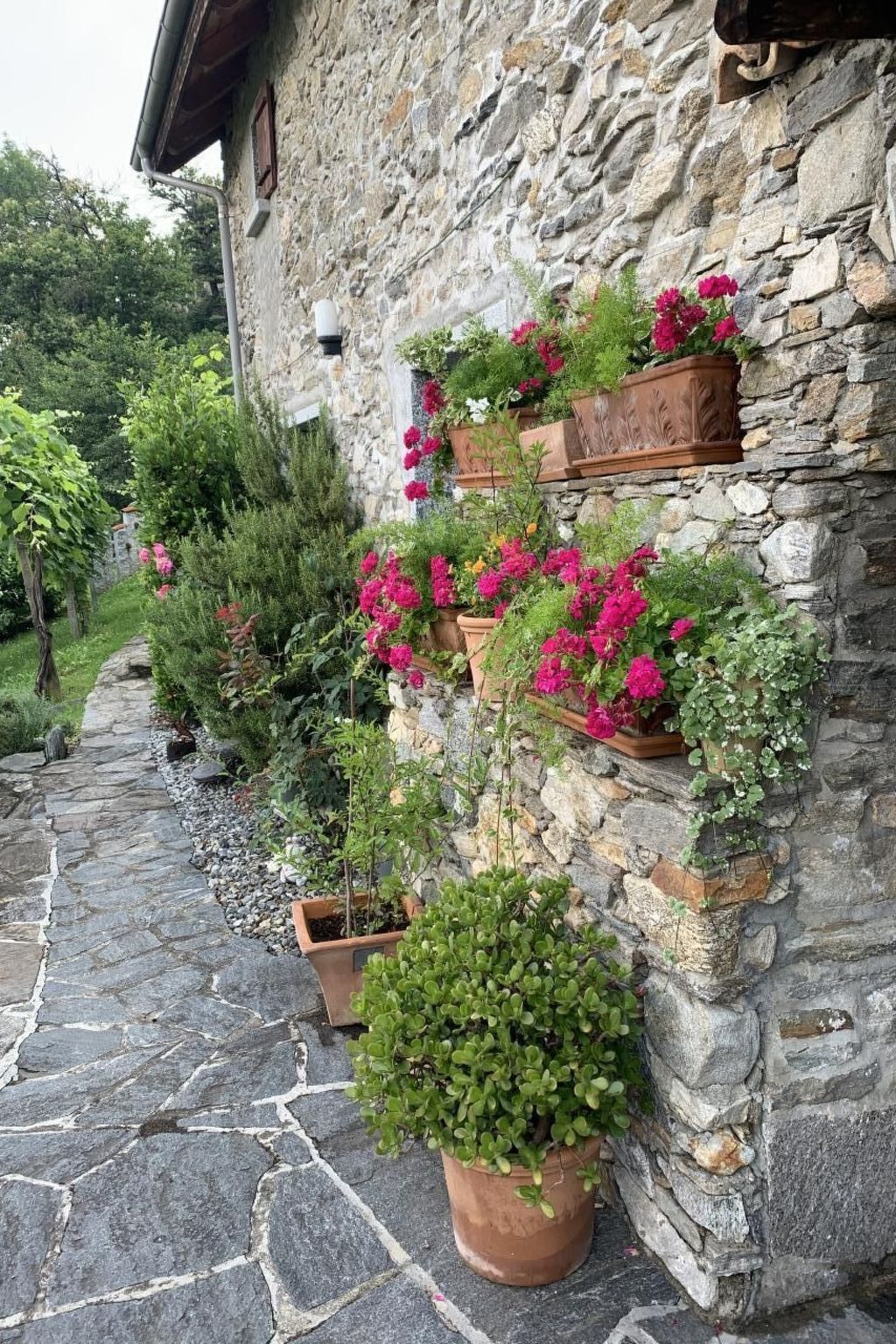 interhome-Rustico Motto della Capra
