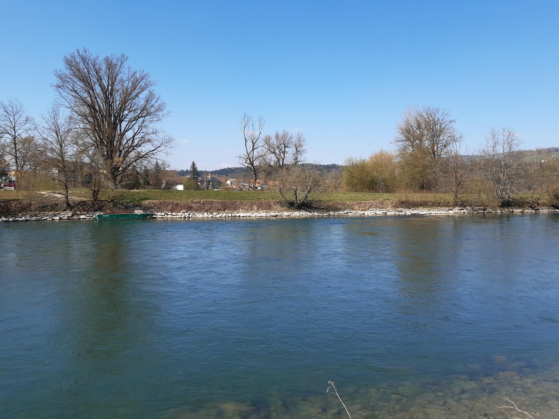 Reussfähre Sulz