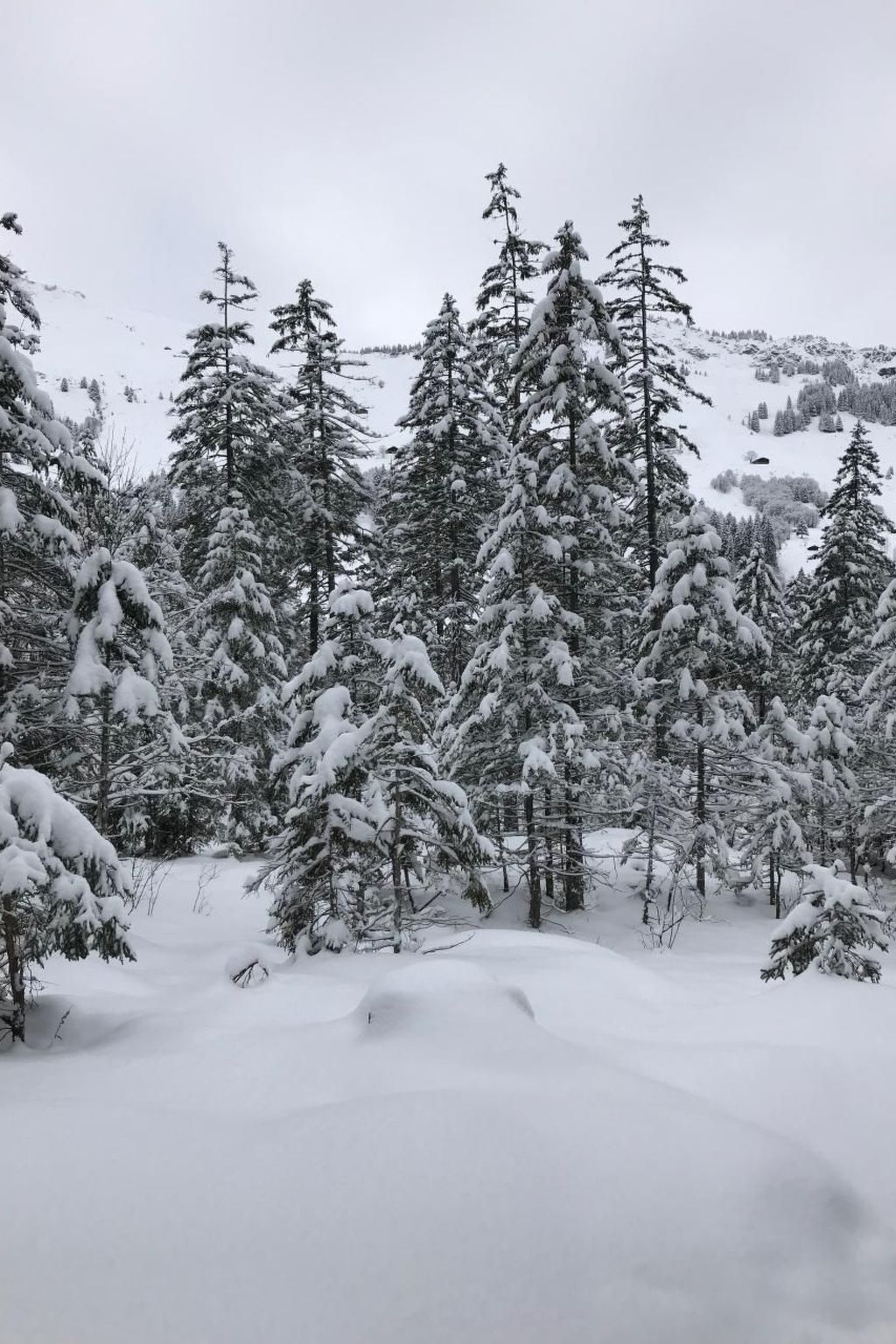 interhome-Panorama Adelboden