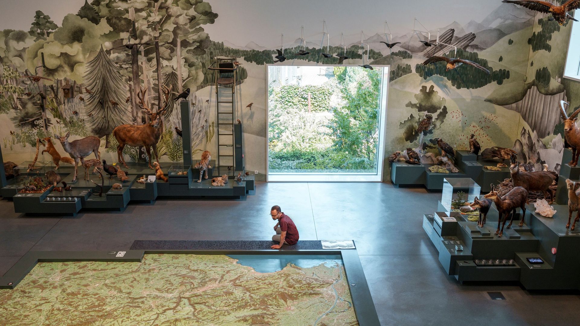 Exposition au Musée d’histoire naturelle de Saint-Gall avec animaux naturalisés, maquette du paysage et fresques murales sur la nature locale.