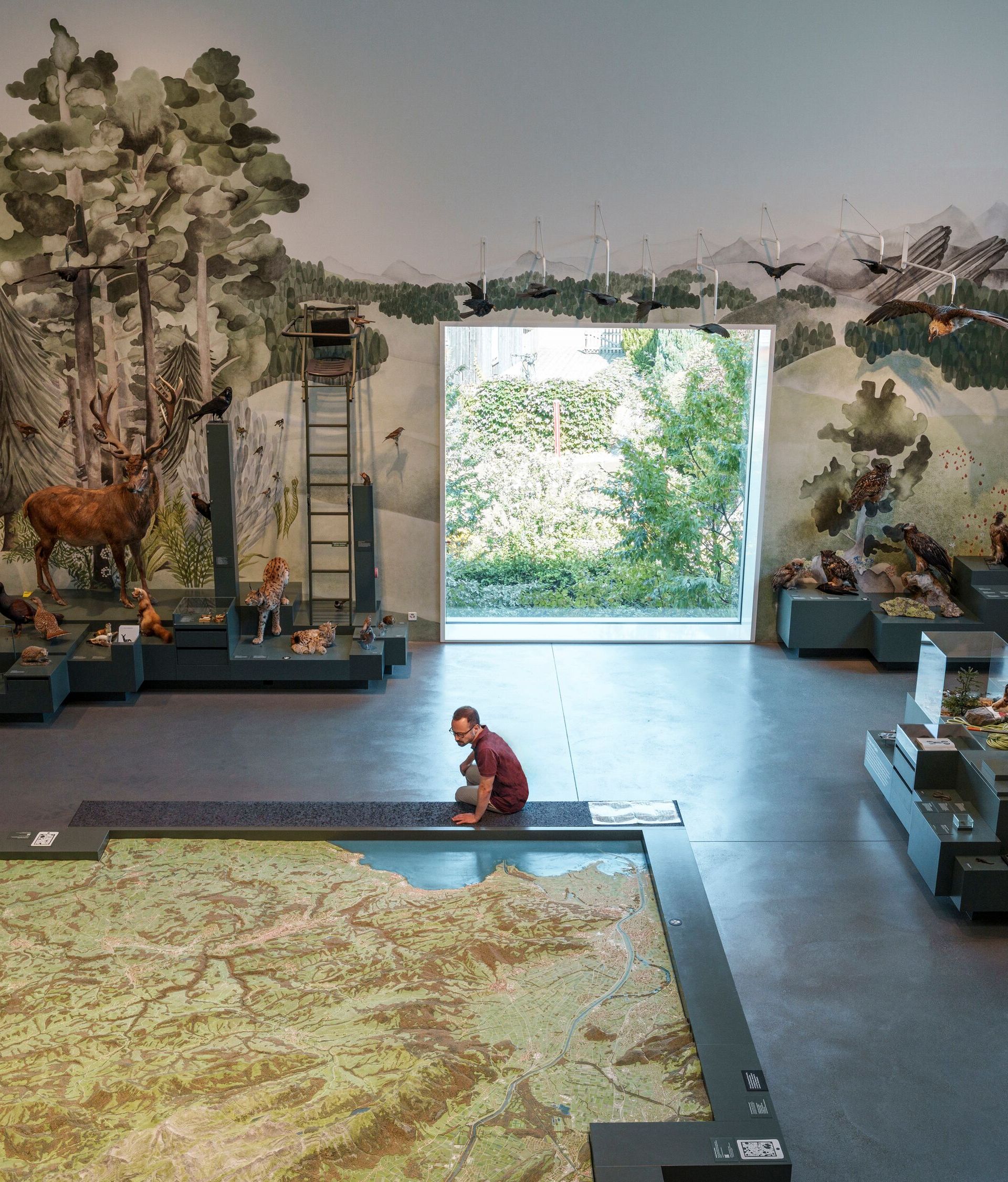Ausstellung im Naturmuseum St. Gallen mit Tierpräparaten, Landschaftsmodell und Wandmalerei zur Natur des Kantons.