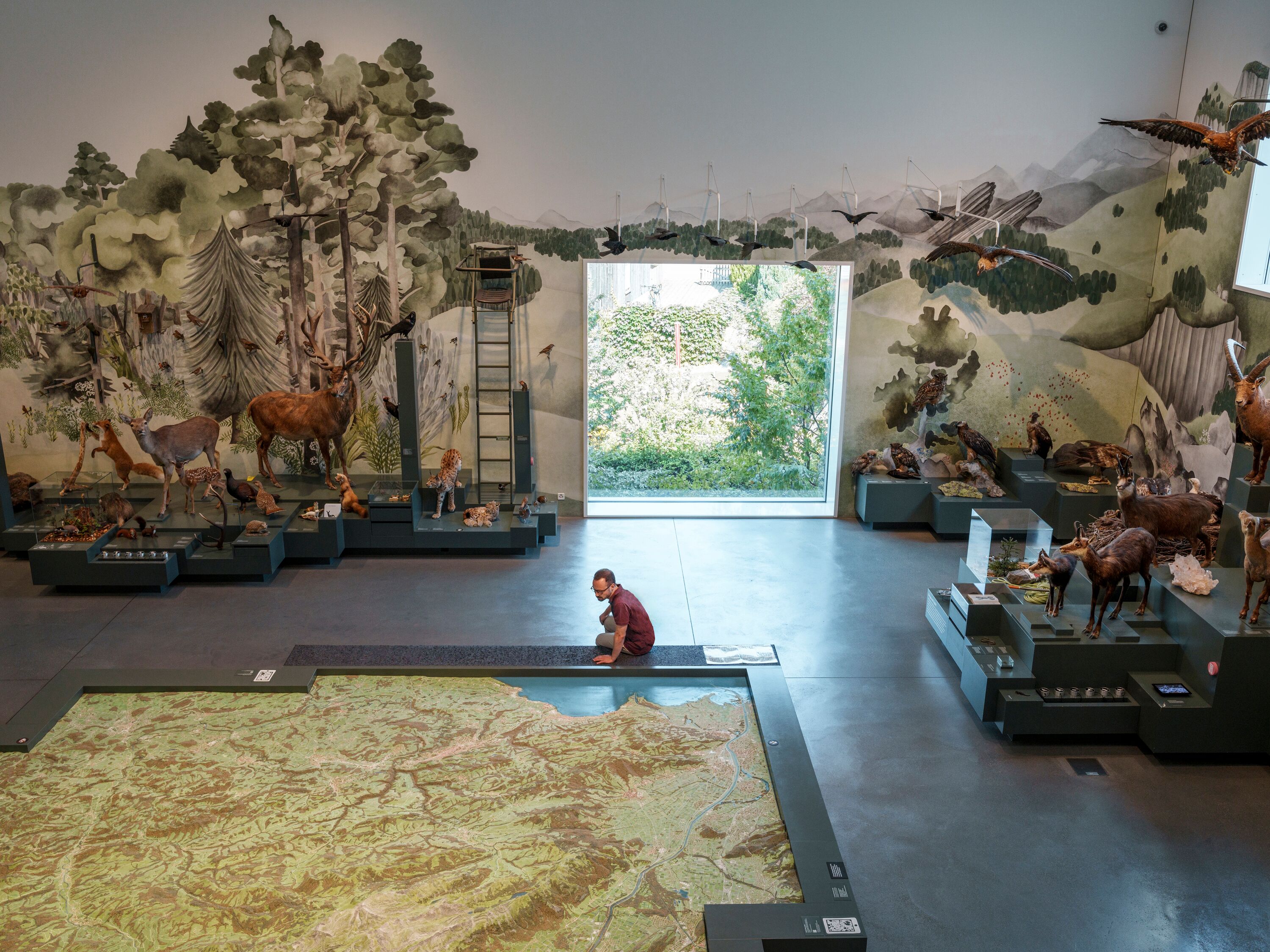 Sala espositiva del Museo della Natura di San Gallo
