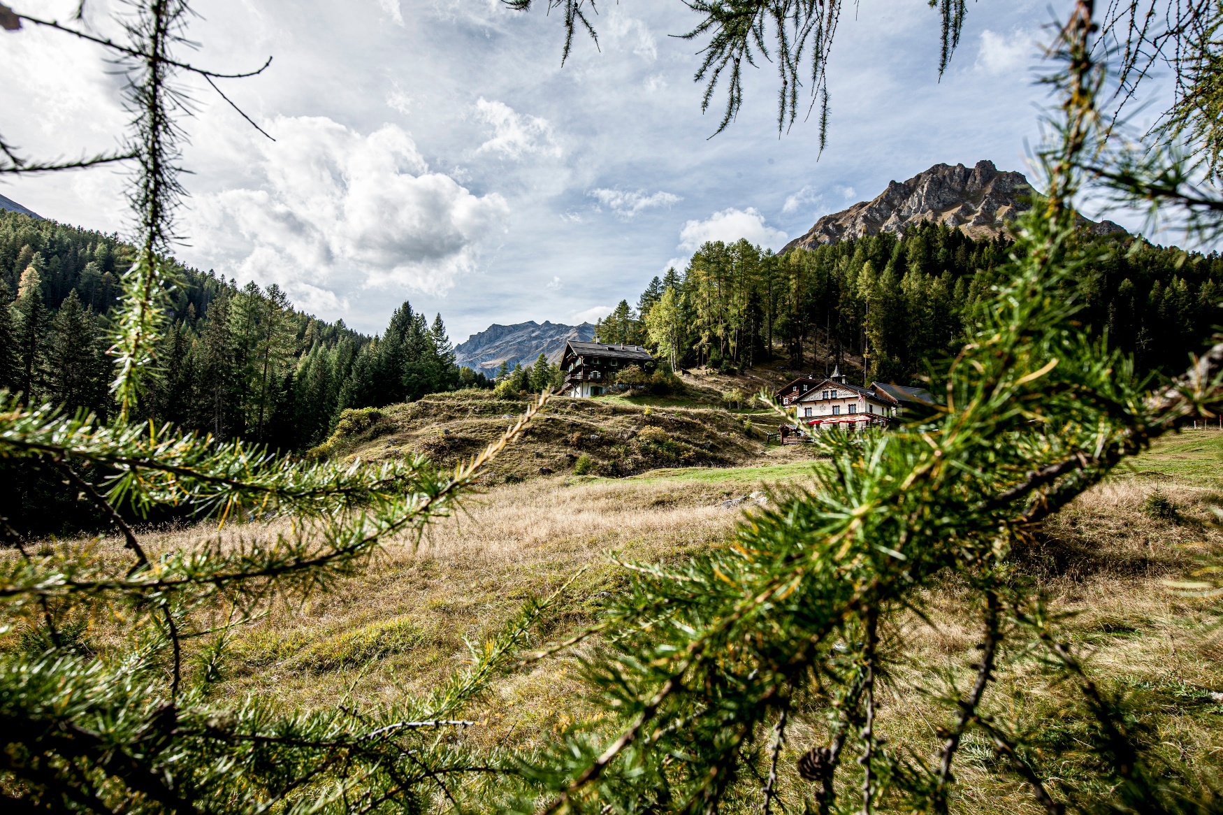 Zuort farm