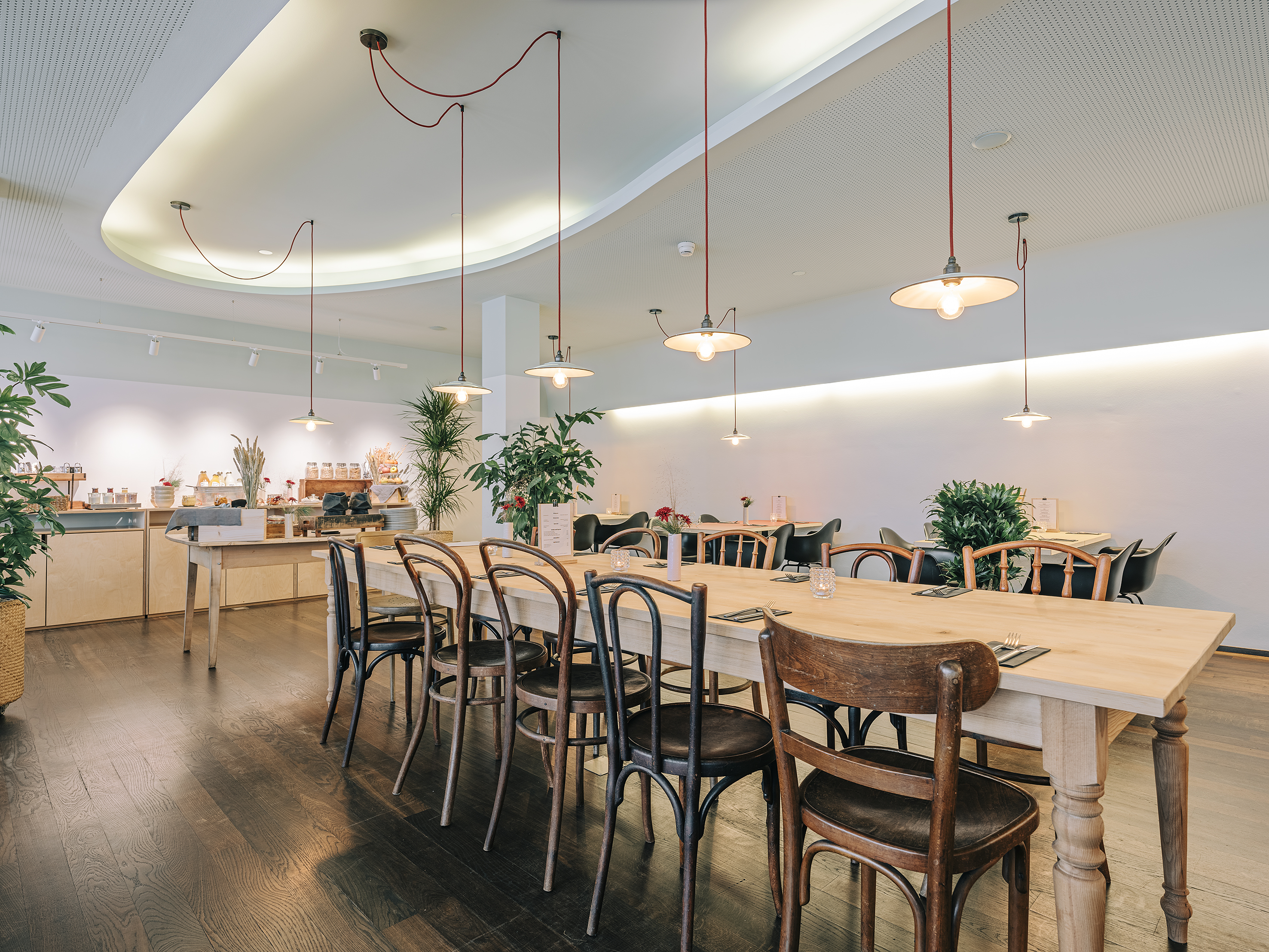 tomas-Hotel Dom - Restaurant
