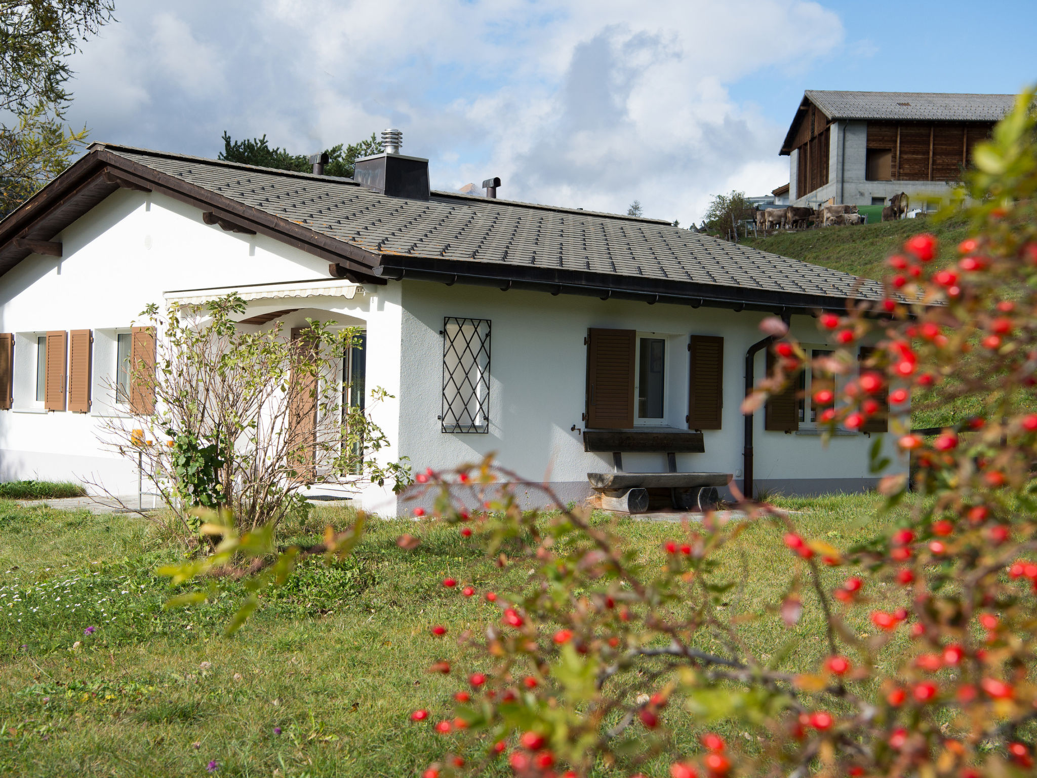 interhome-1906 Tgeasa Schilendra