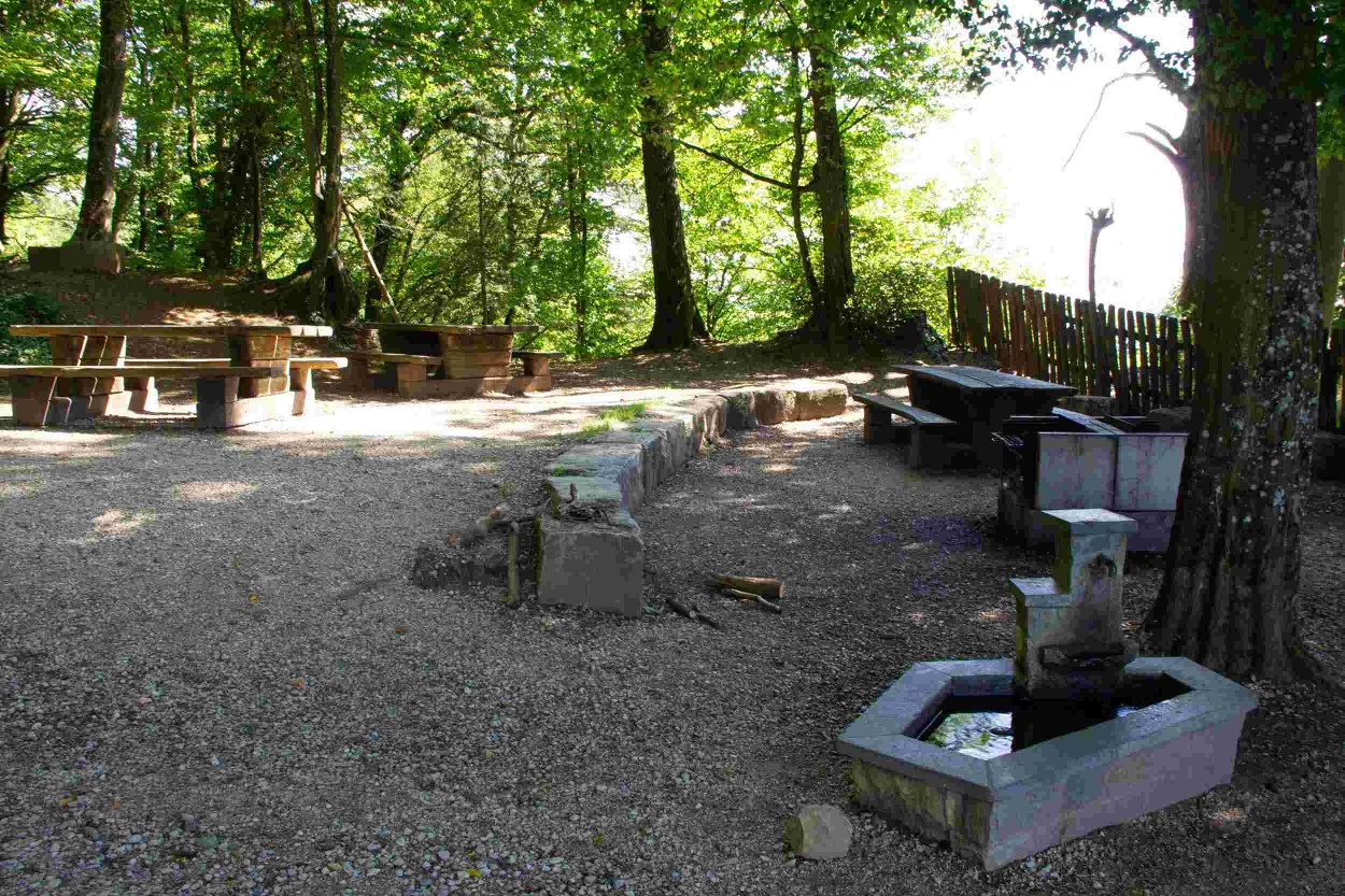 Grillstelle Klingnau Waldgarage