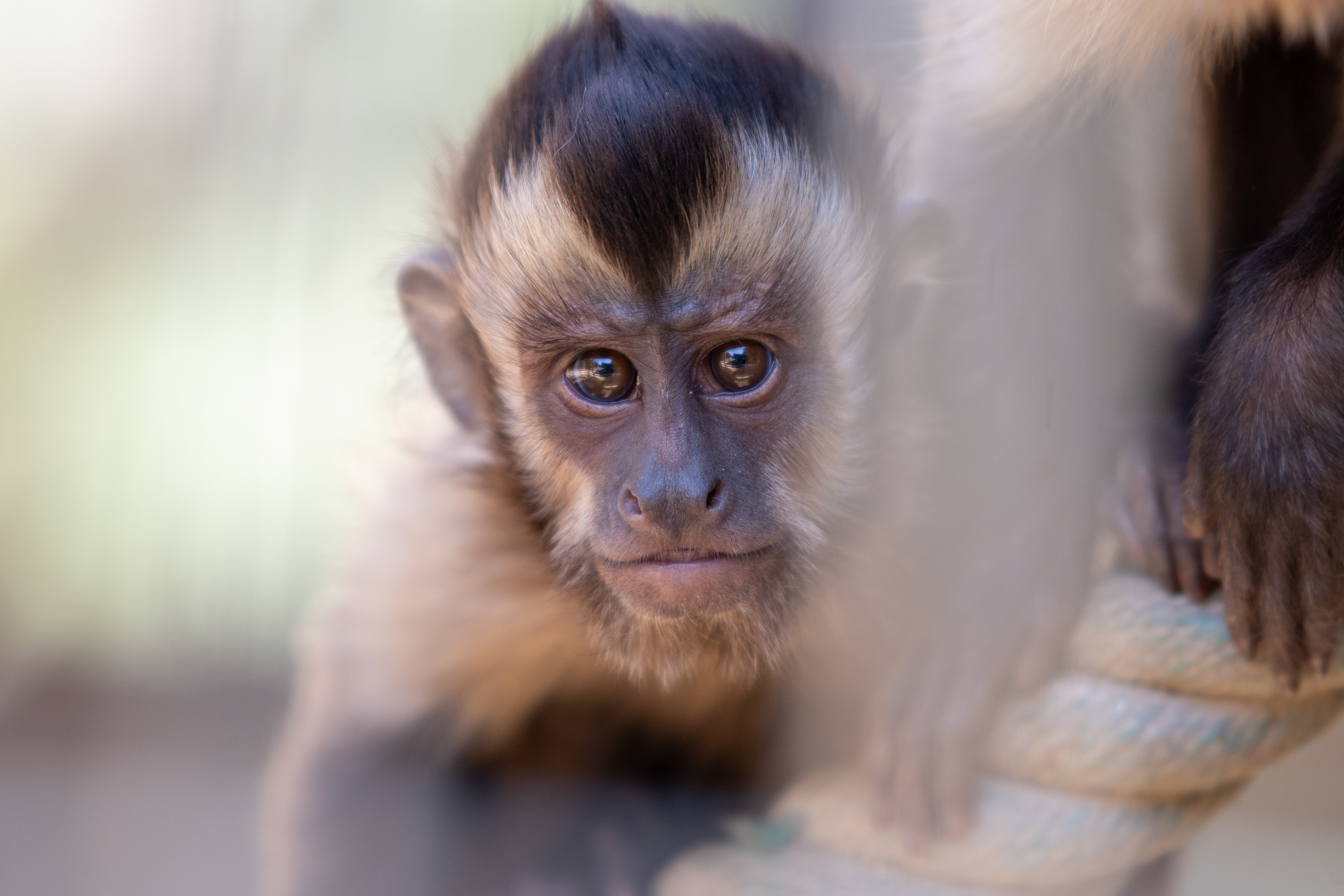 Zoo al Maglio