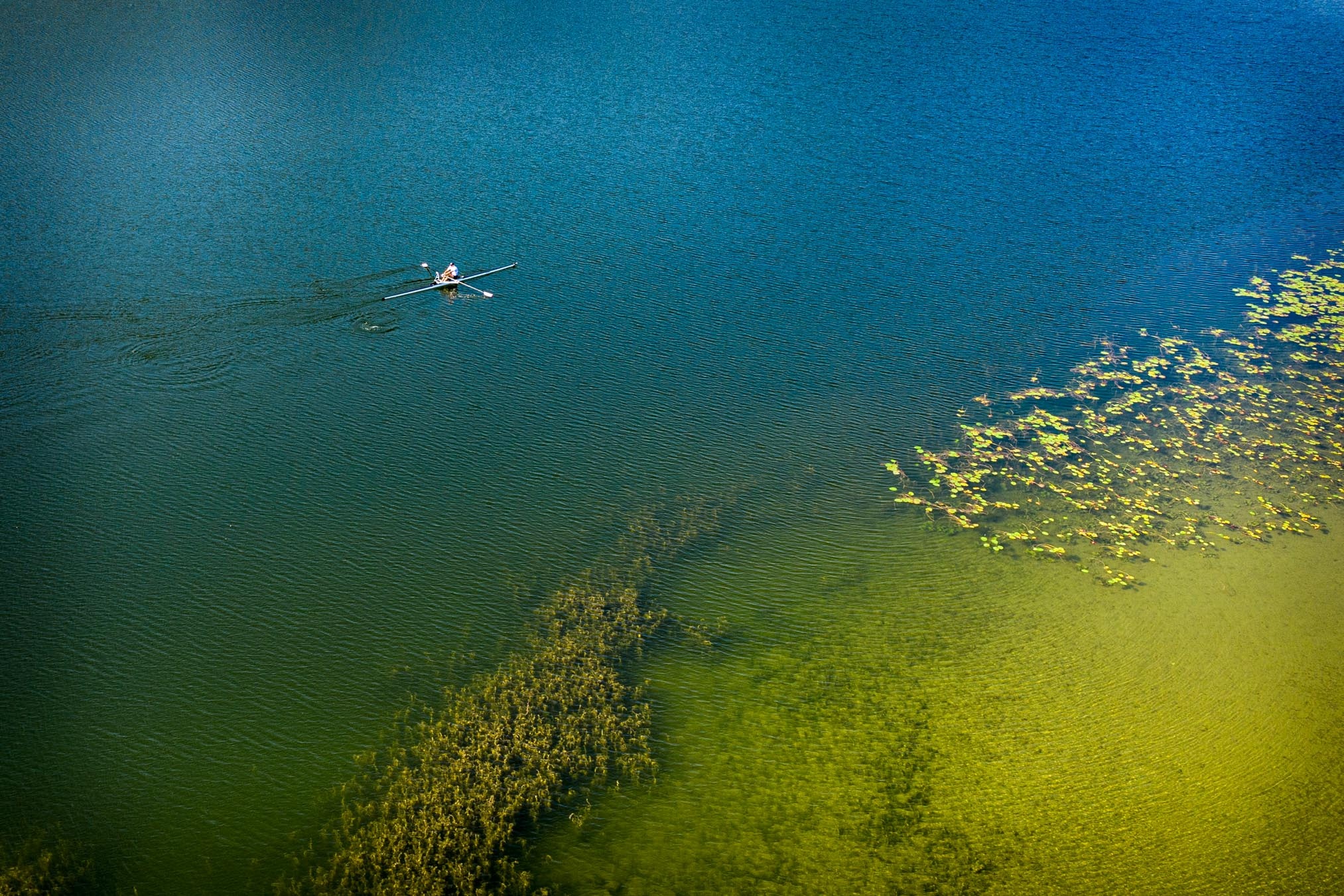 Rudern auf dem Ägerisee