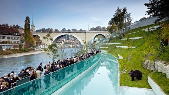 Bärenpark - Bern