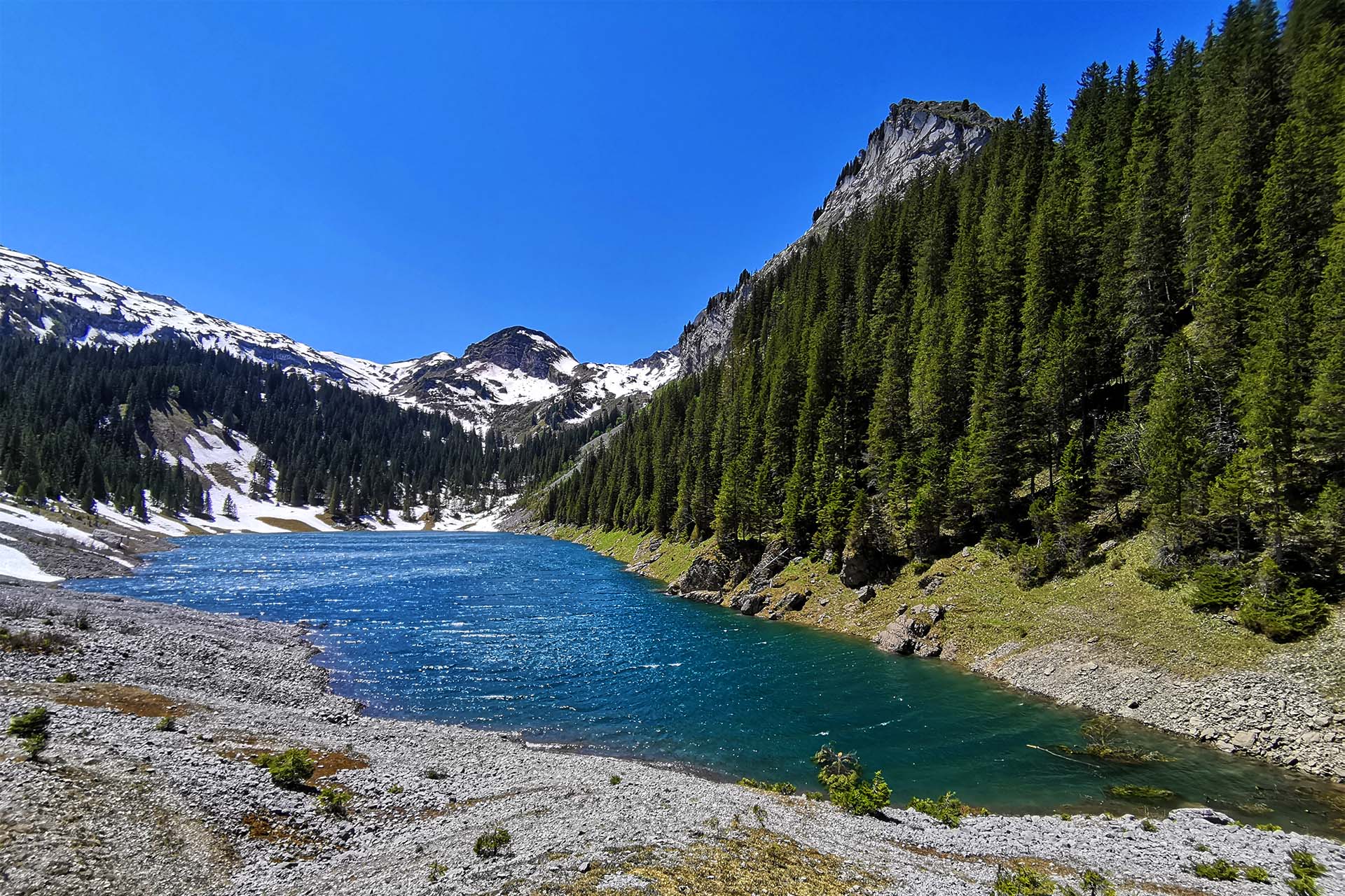 mys-Myswisspanorama-Myswisspanorama - Bergsee_Schweiz5-1 (1).jpg