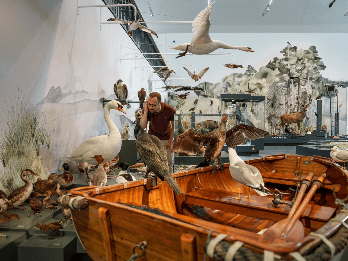 Naturmuseum St.Gallen St.Galler Museums-Pass