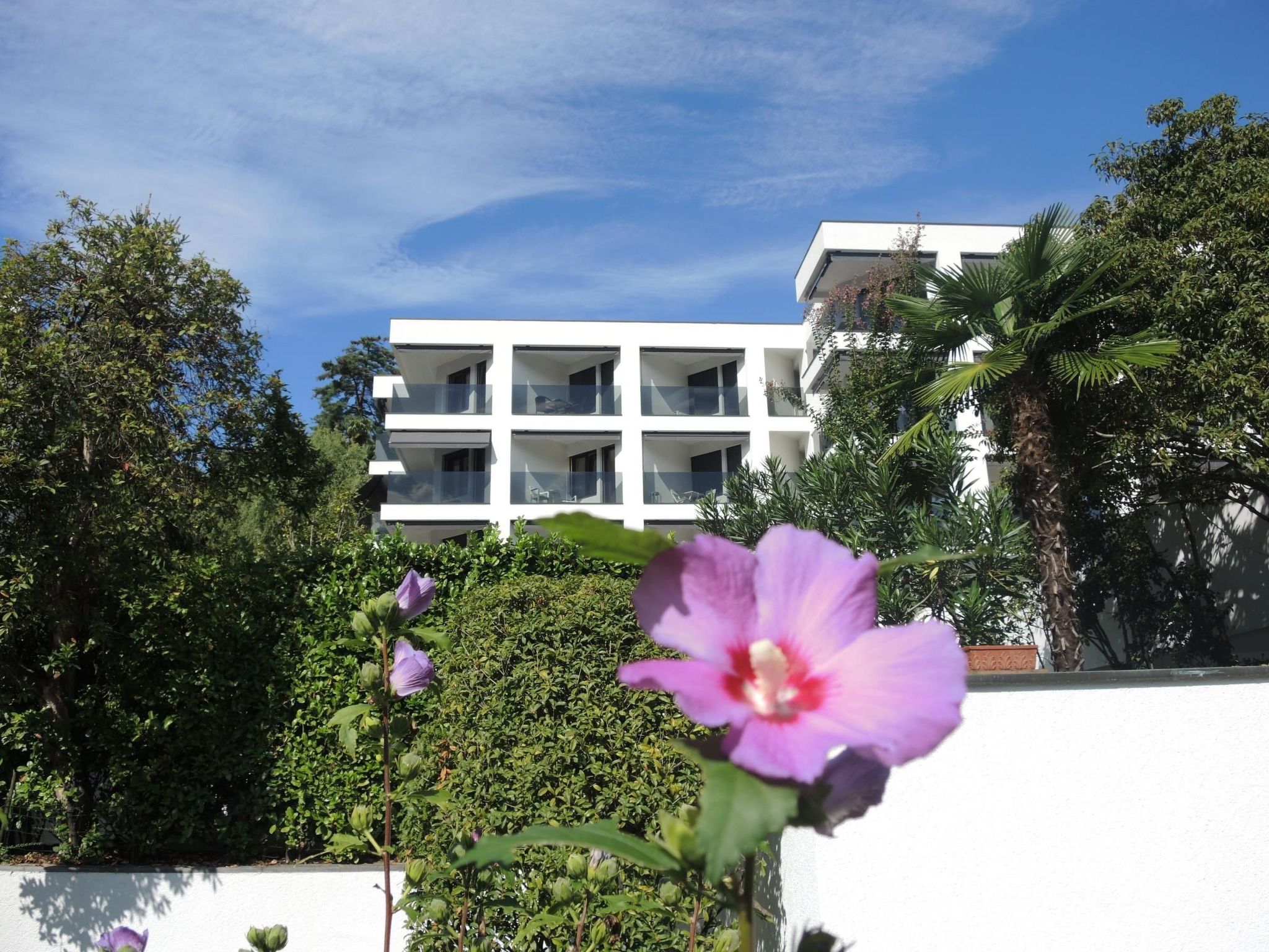 interhome-Fiore Rosa