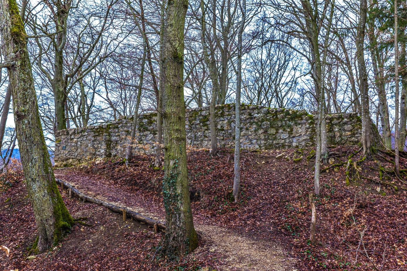 Ruine Horen