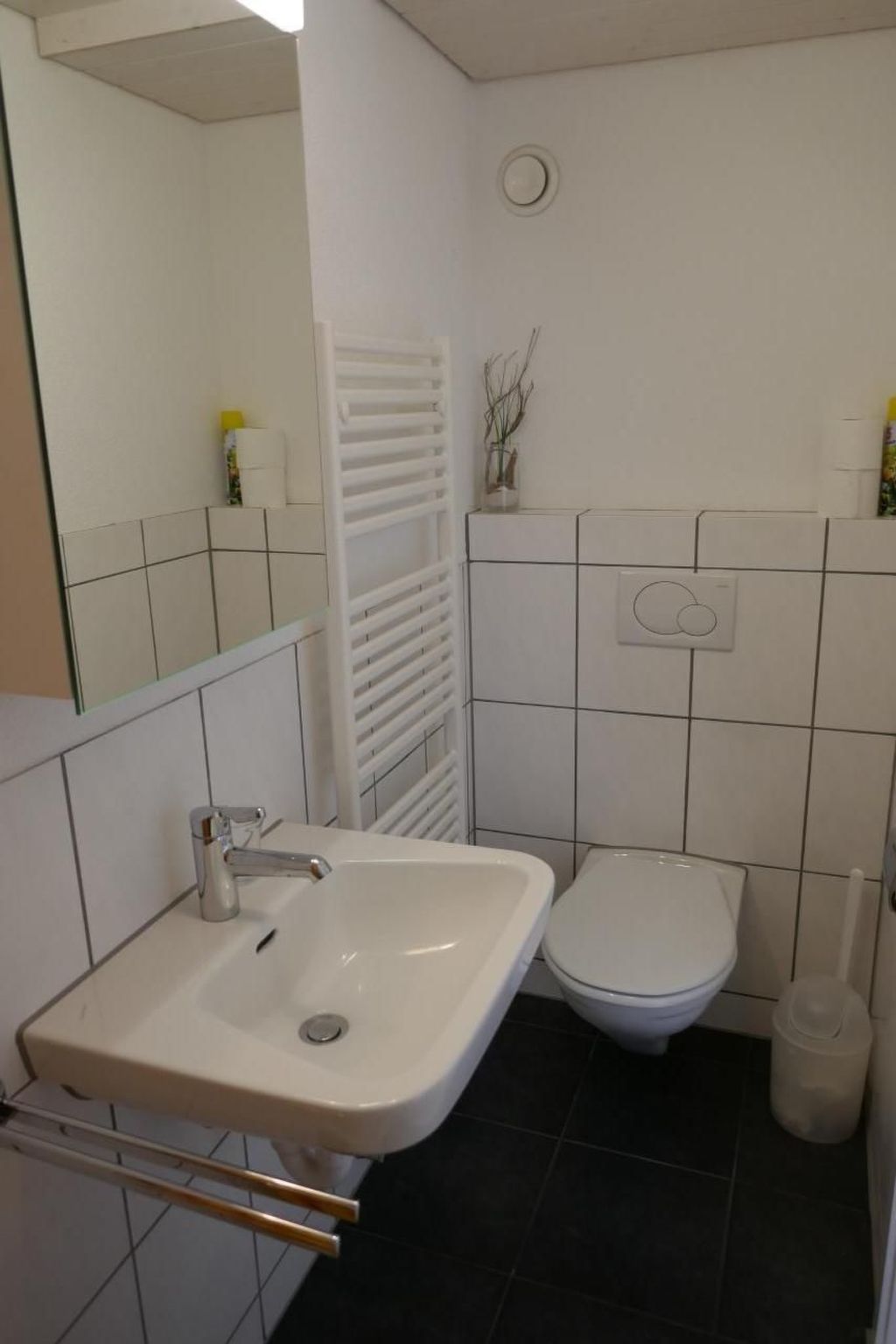 interhome-Zwingli's Ferienwohnung