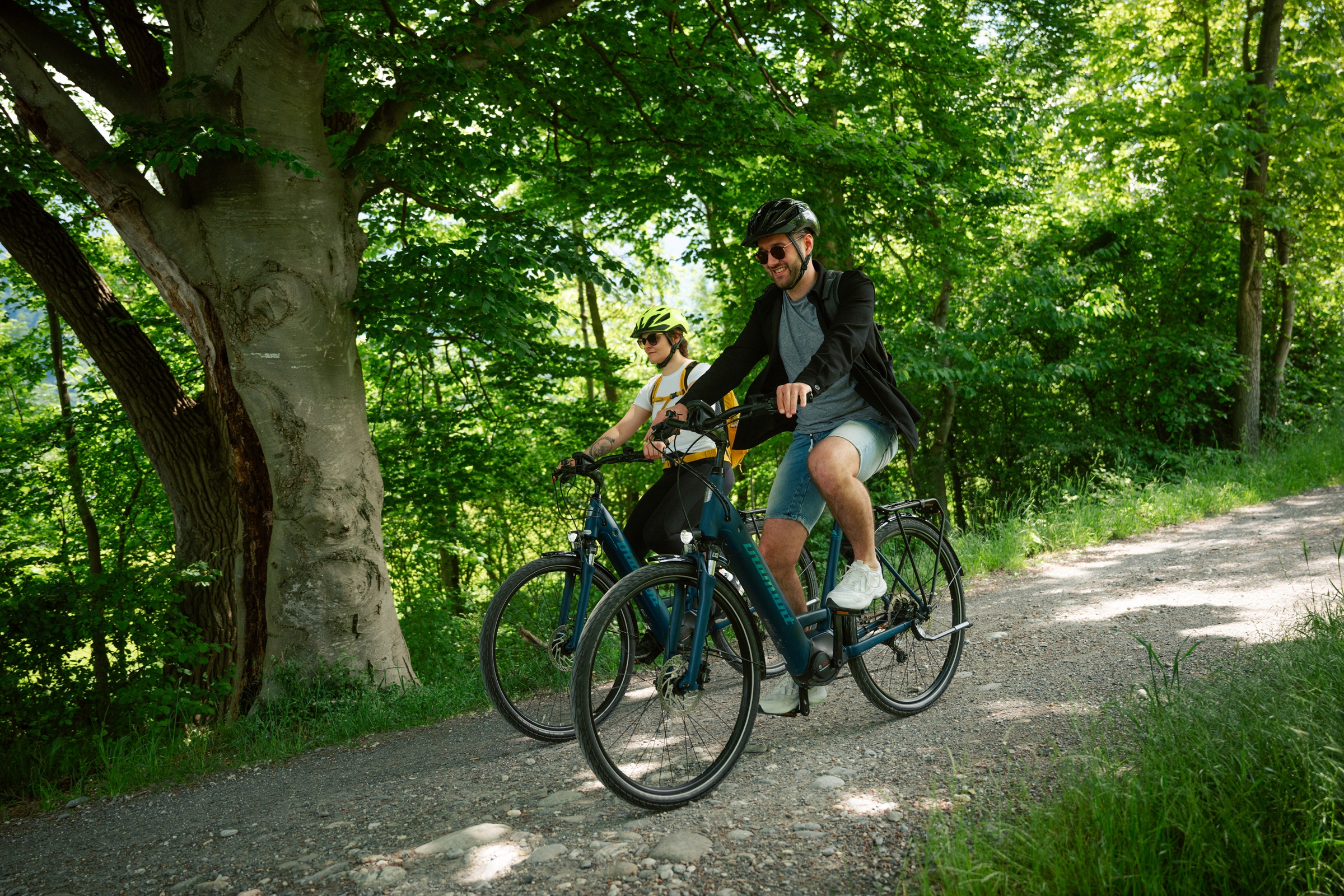 mys-Kulinarik-Tour Bündner Herrschaft (E-Bike)-import_8900610e-8698-4795-966c-bfde3b8741b1.jpg