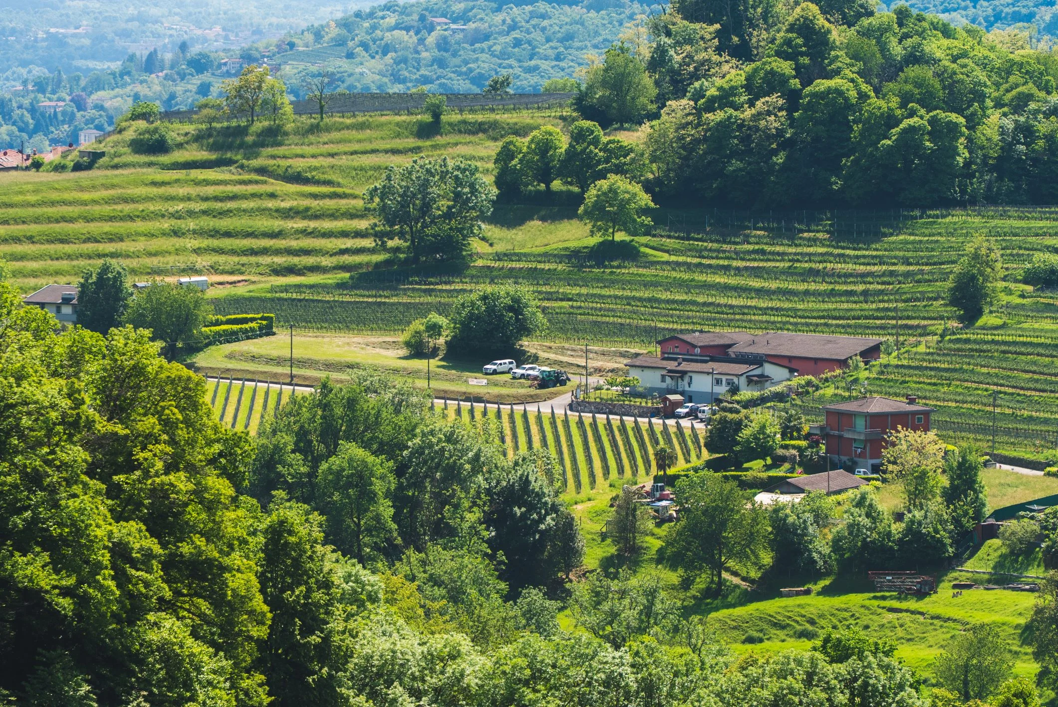 mys-Bike'n'Wine Mendrisiotto-Bike'n'Wine