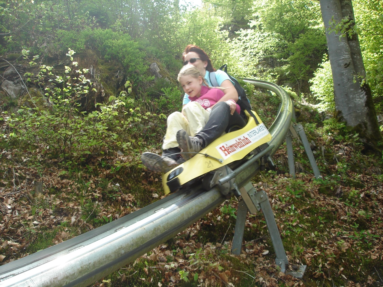 Sommerrodelbahn Heimwehfluh